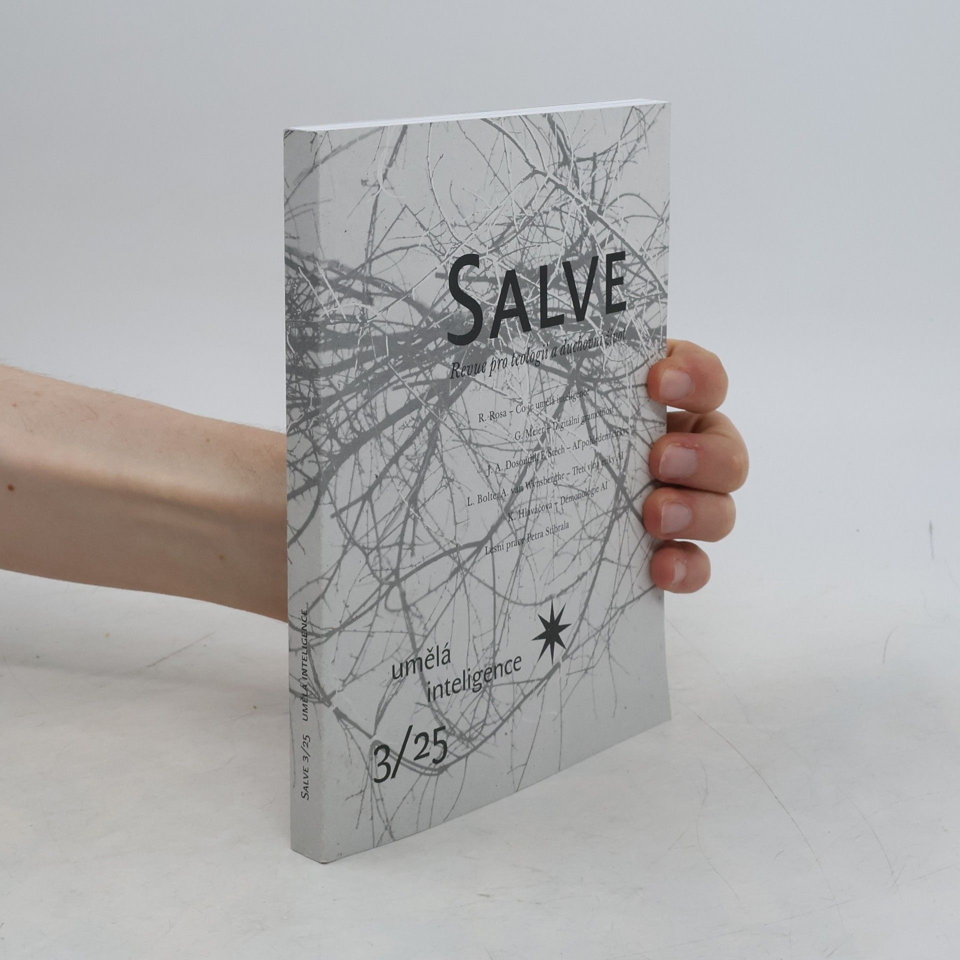 Auteurscollectief Salve: Revue pro teologii a duchovní život (roč. 22, číslo 4)