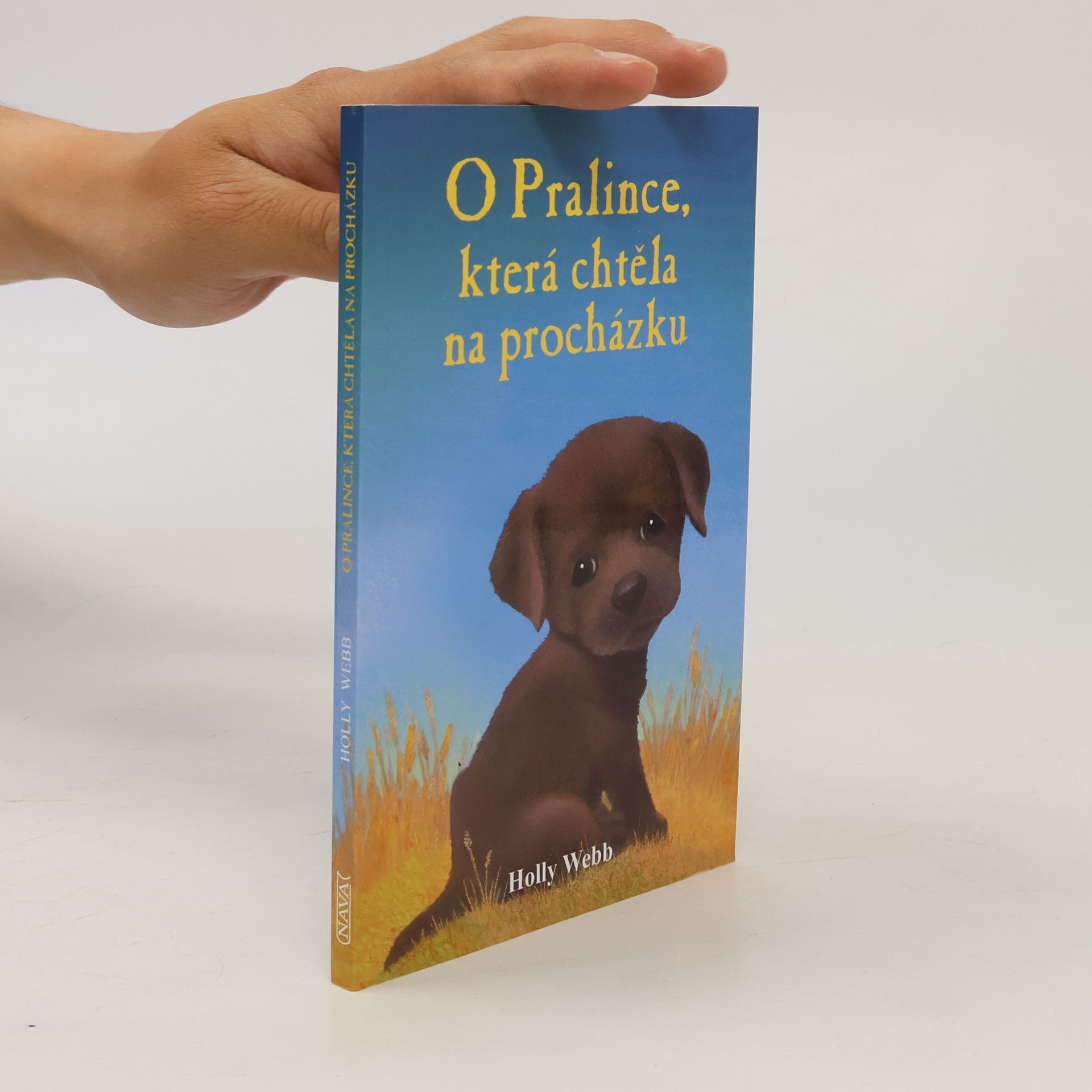 Holly Webb O Pralince, která chtěla na procházku
