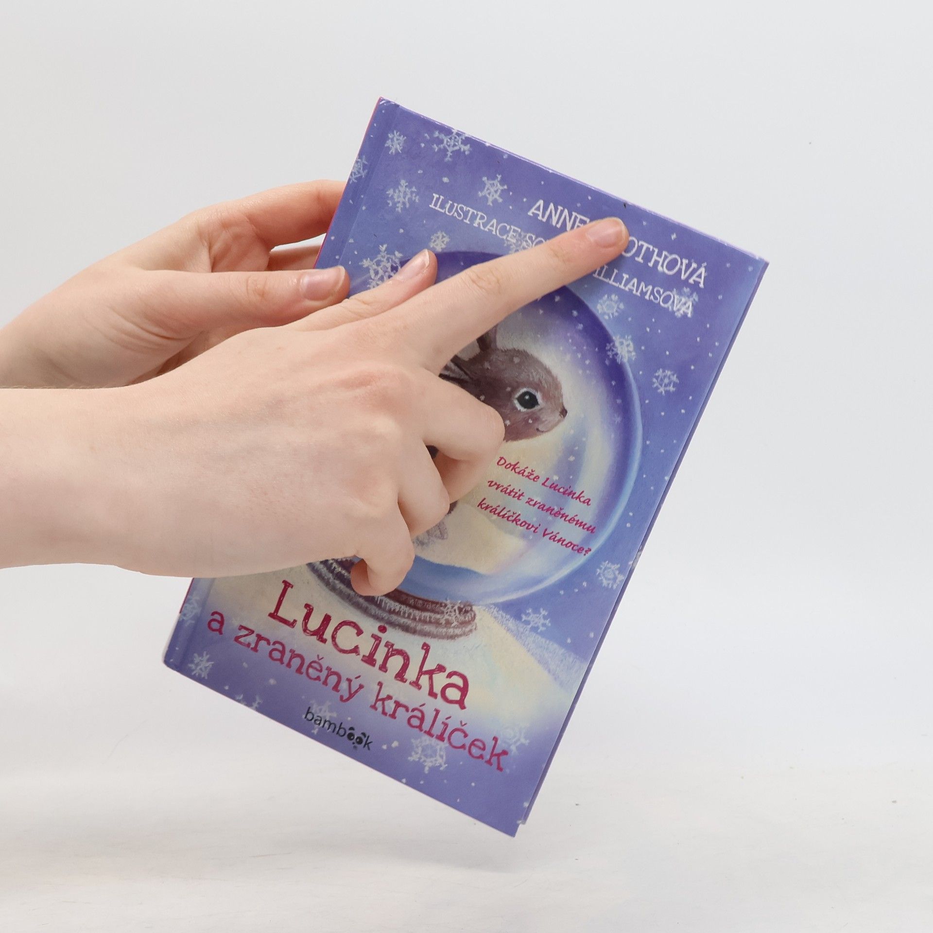 Anne Booth Lucinka a zraněný králíček
