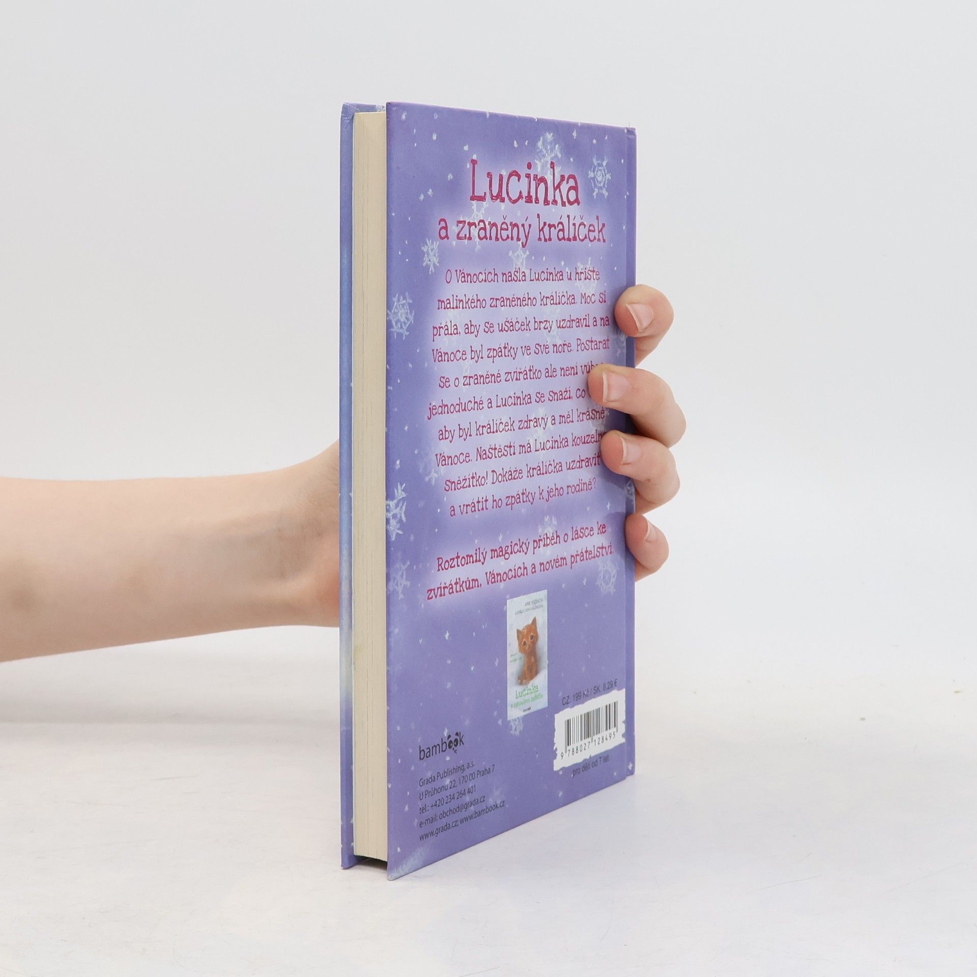 Anne Booth Lucinka a zraněný králíček