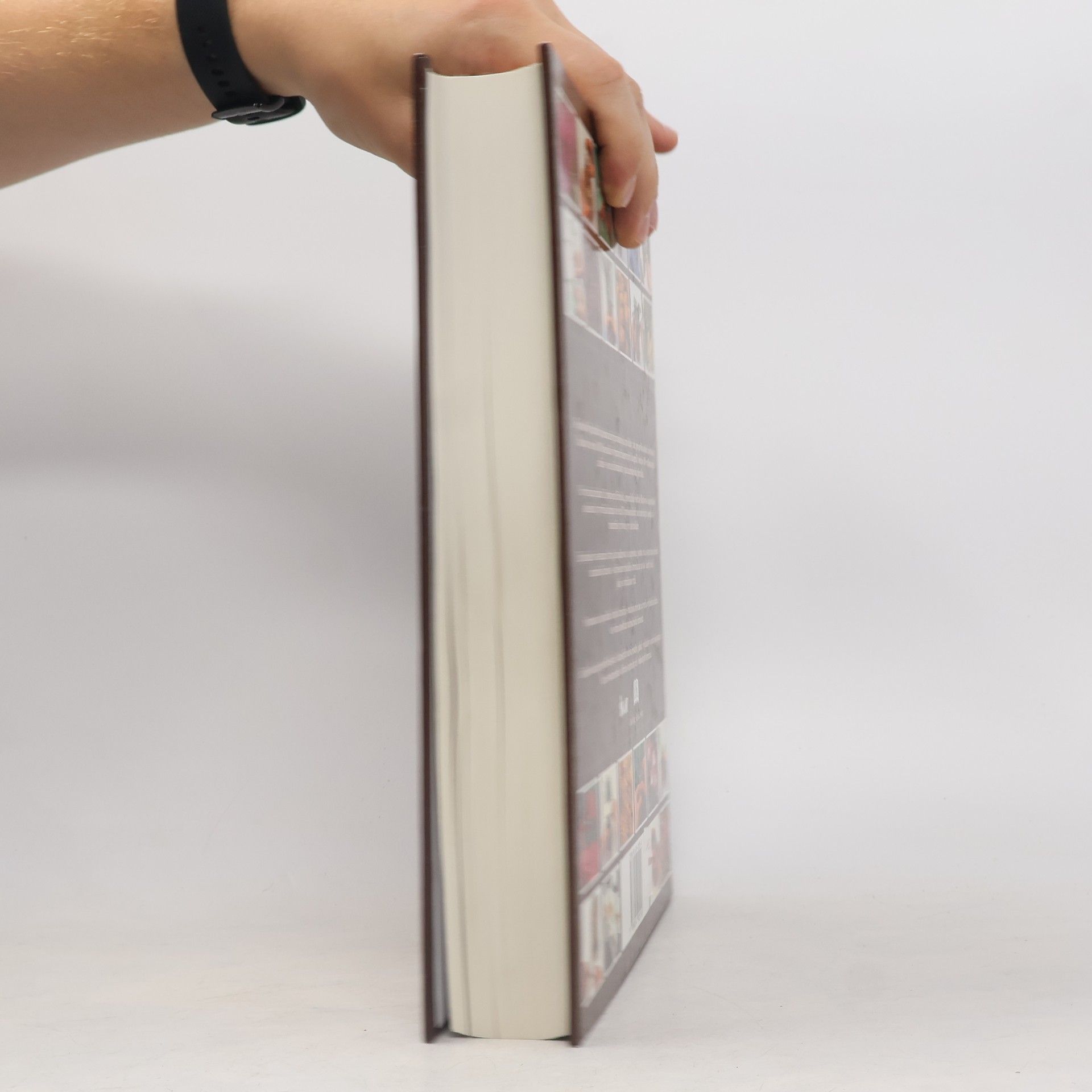 Autorenkollektiv Velká zahrádkářská encyklopedie