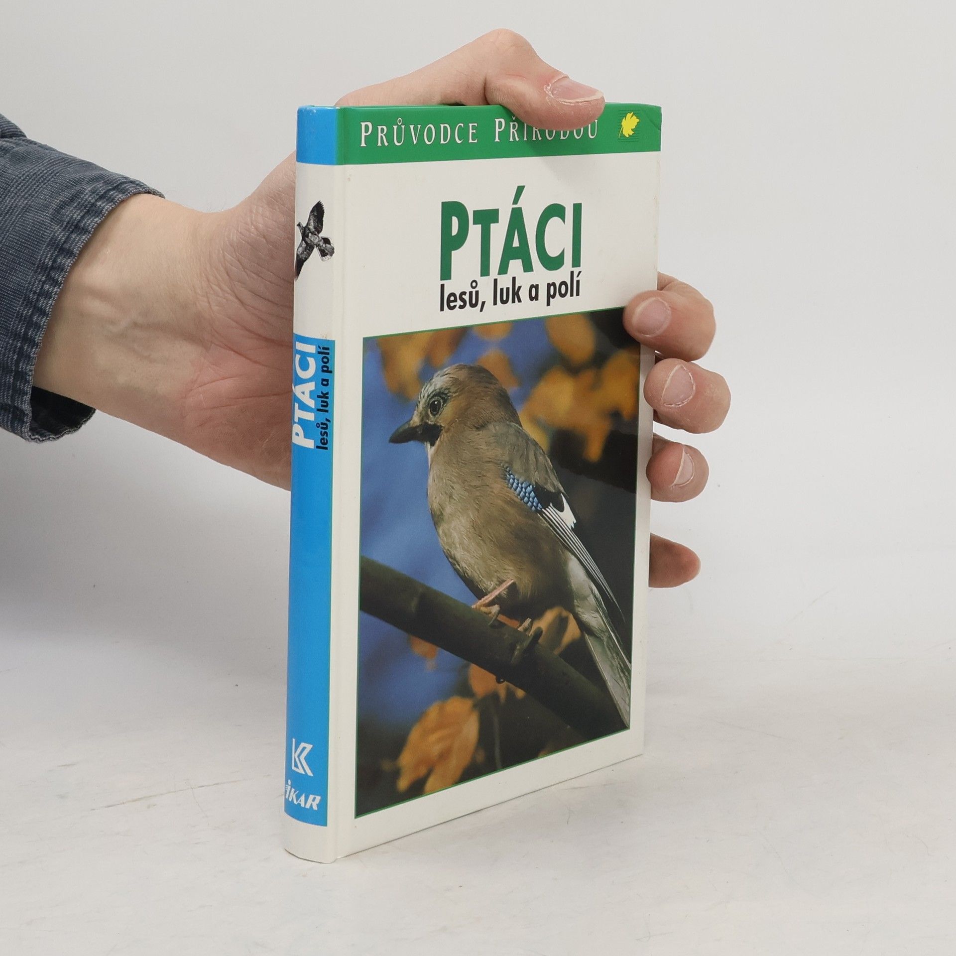 Frieder Sauer Ptáci lesů, luk a polí