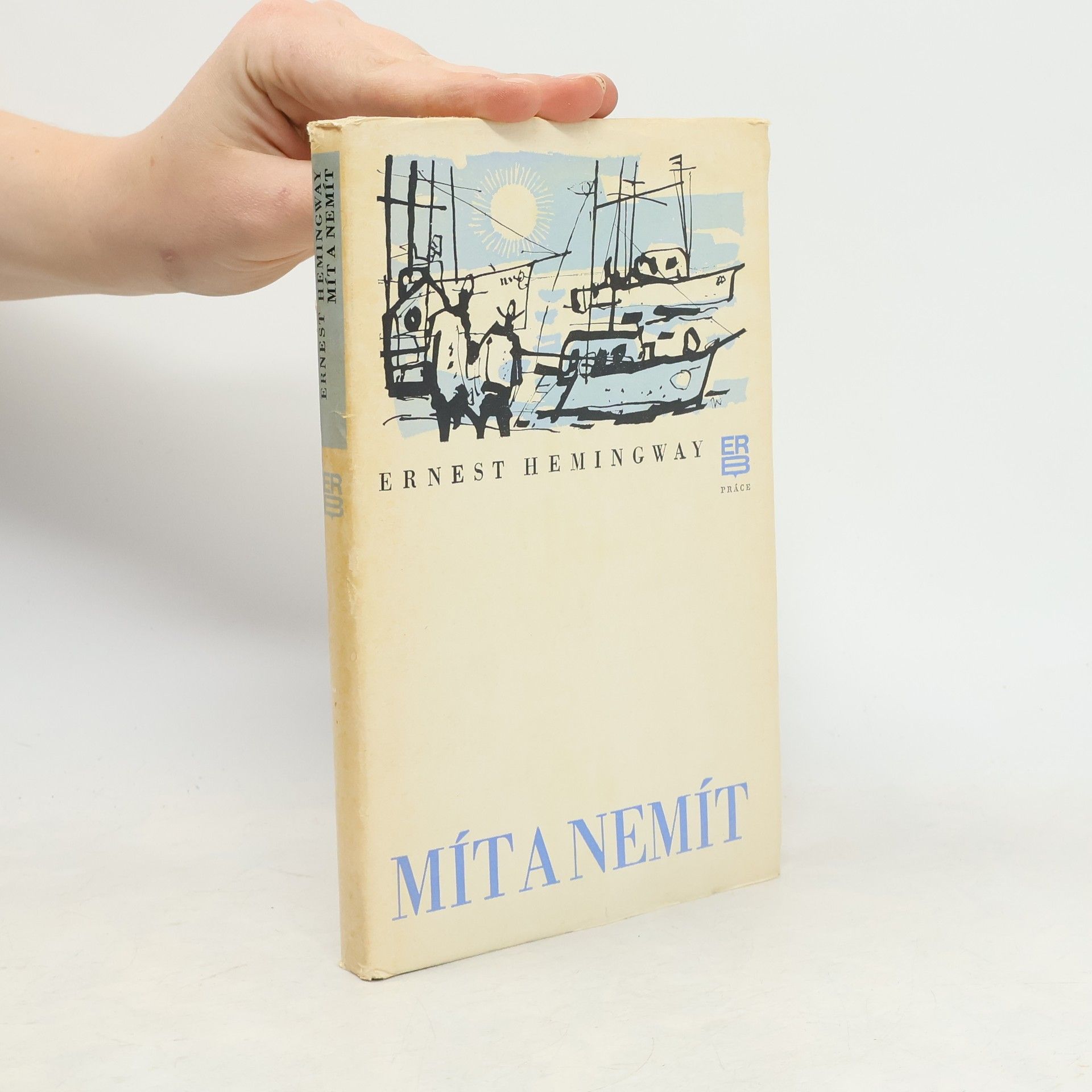 Ernest Hemingway Mít a nemít