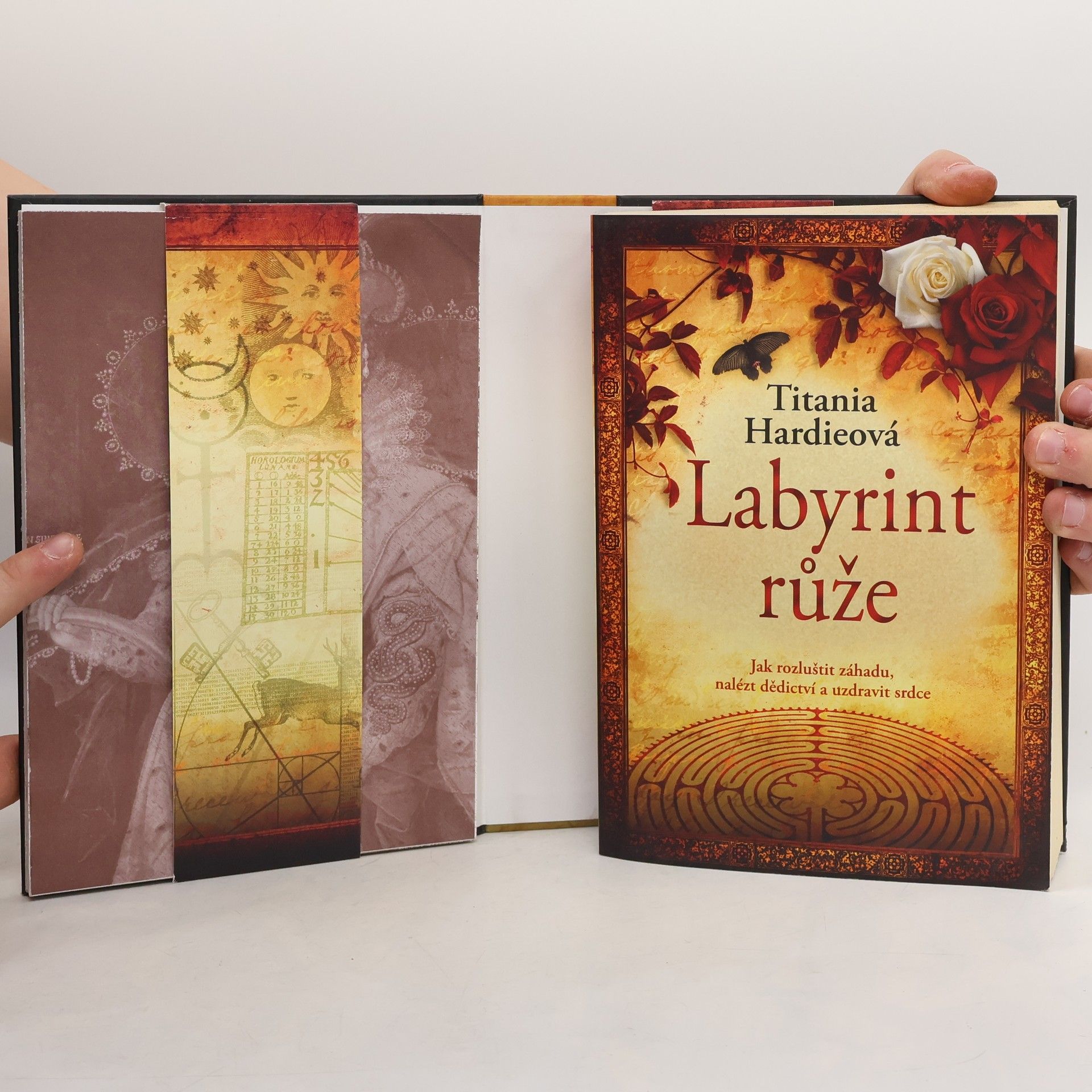 Titania Hardie Labyrint růže