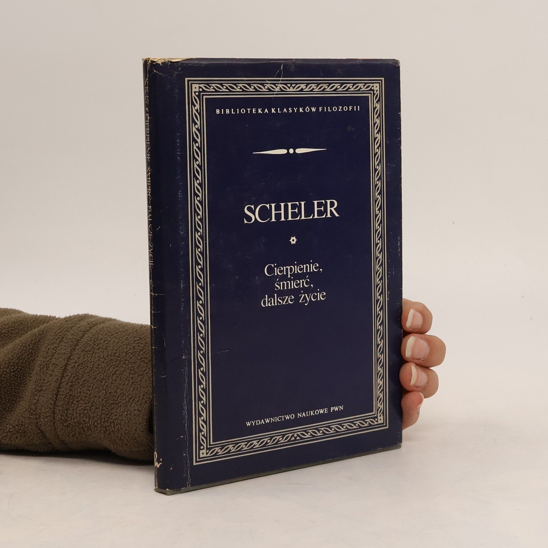 Scheler Max Cierpienie, śmierć, dalsze życie
