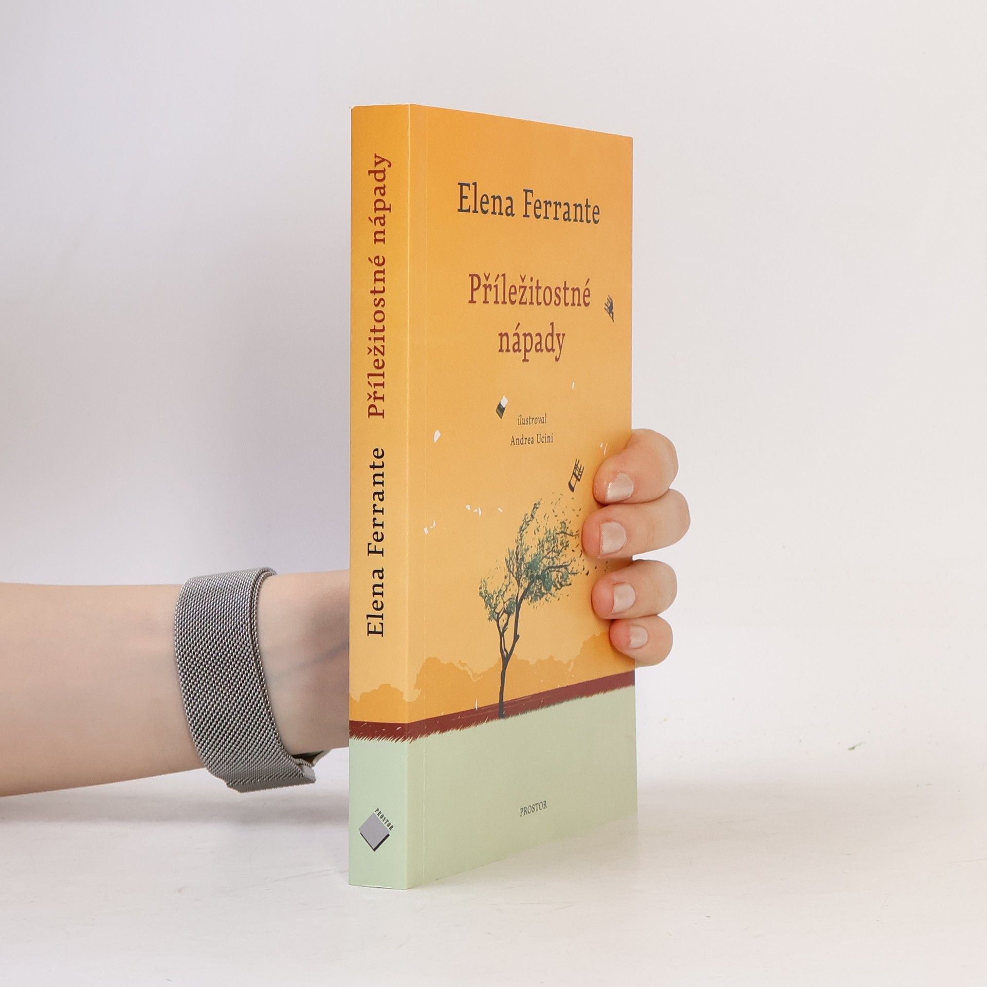 Elena Ferrante Příležitostné nápady