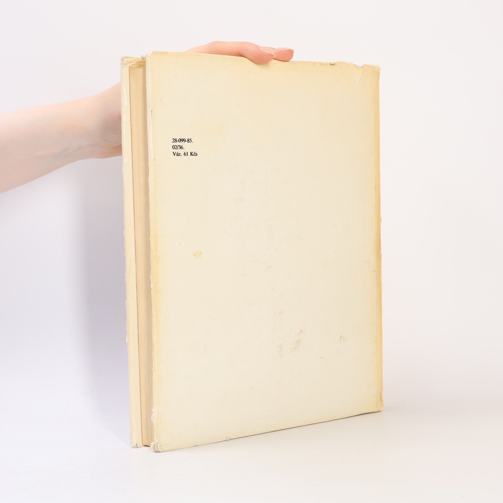 Autorenkollektiv Vojenské dějiny Československa I. do roku 1526