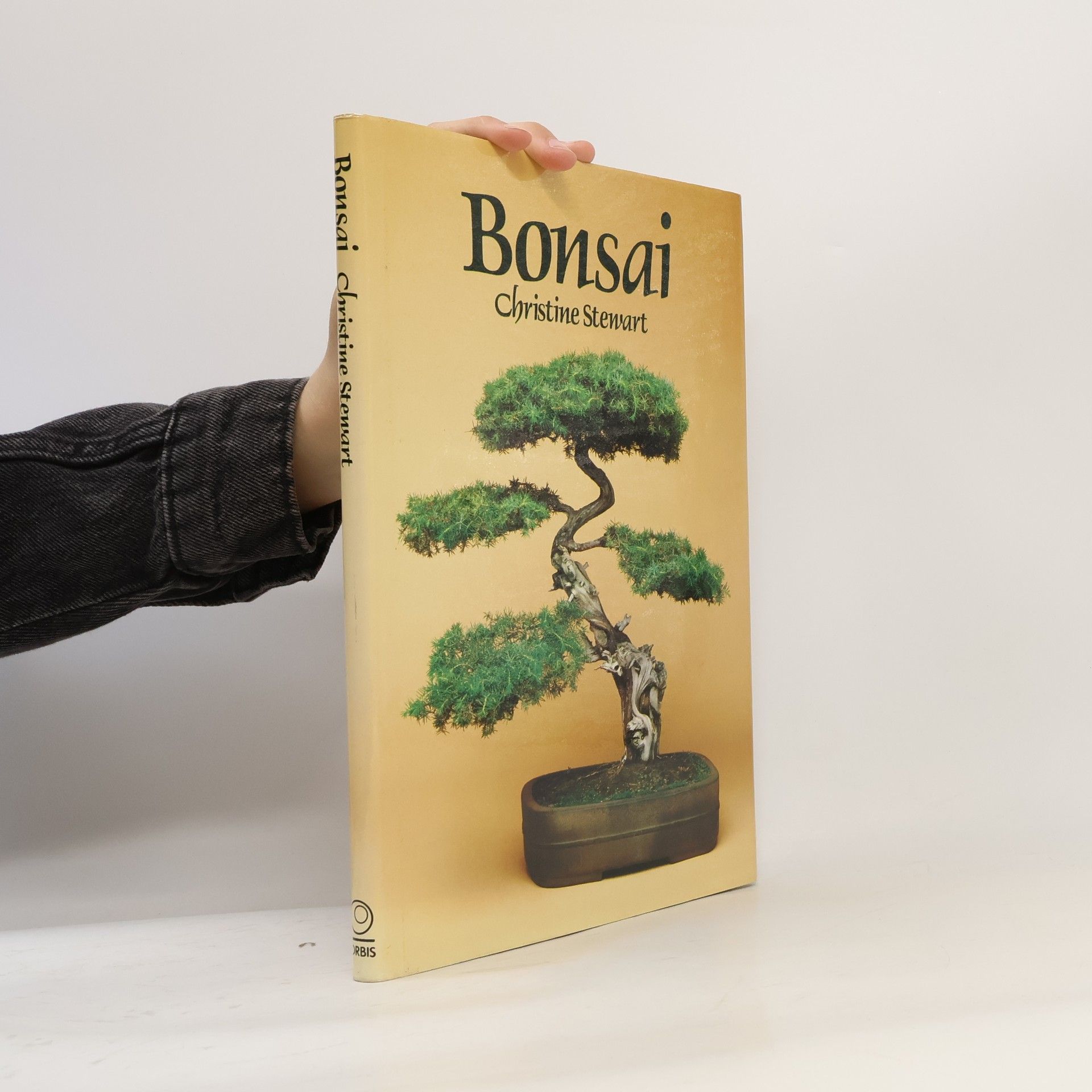 Christine Stewart Bonsai