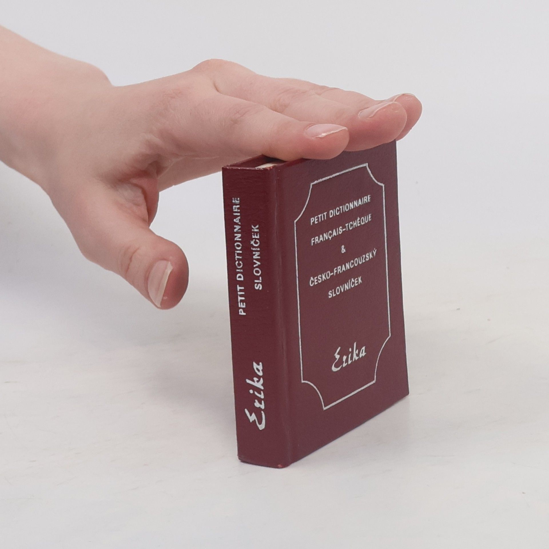 Autorenkollektiv Petit Dictionnaire Francais-Tchéque & Česko-francouzský slovníček
