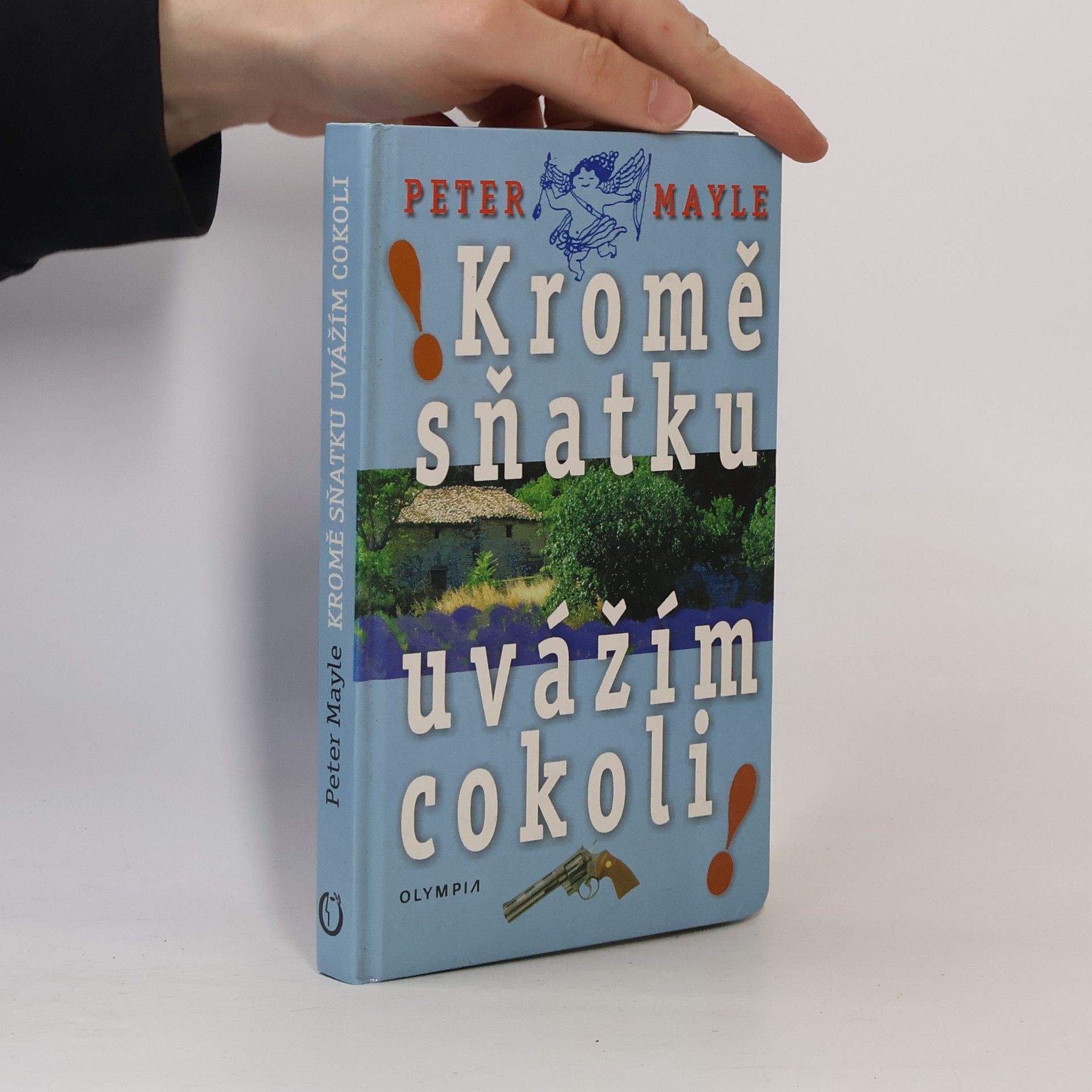 Peter Mayle Kromě sňatku uvážím cokoli!