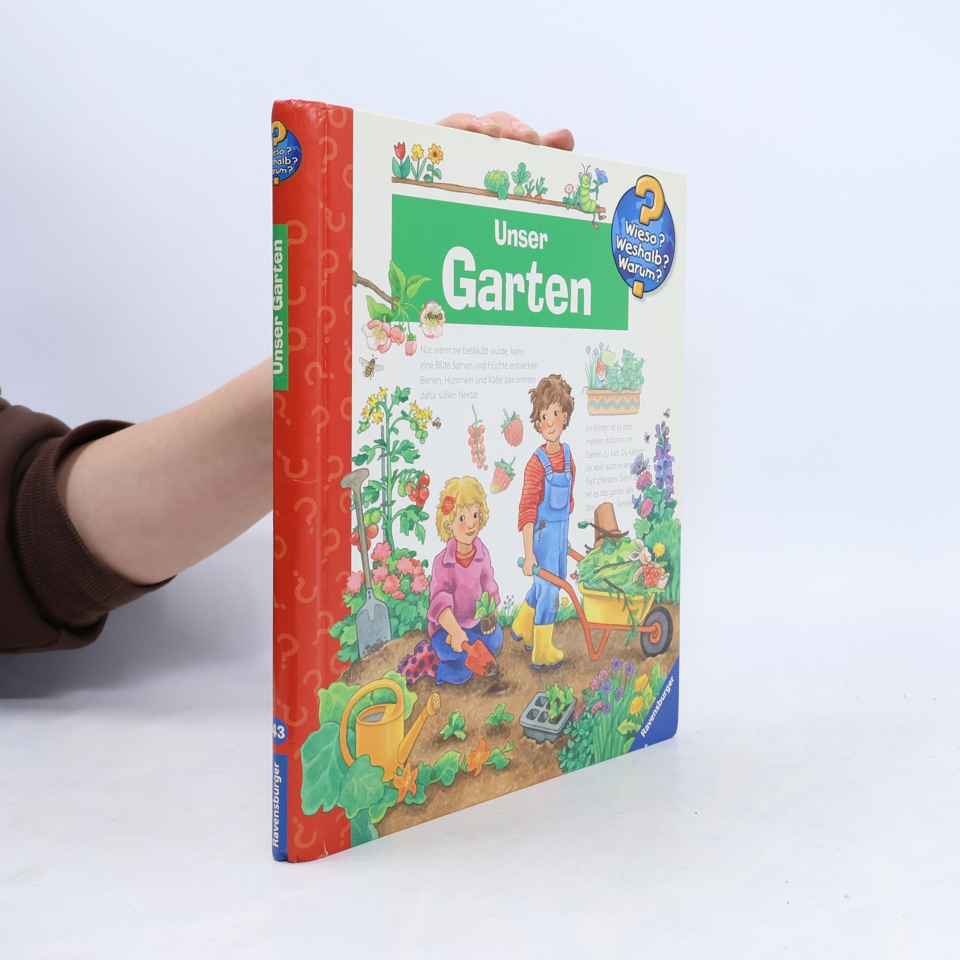 Andrea Erne Unser Garten