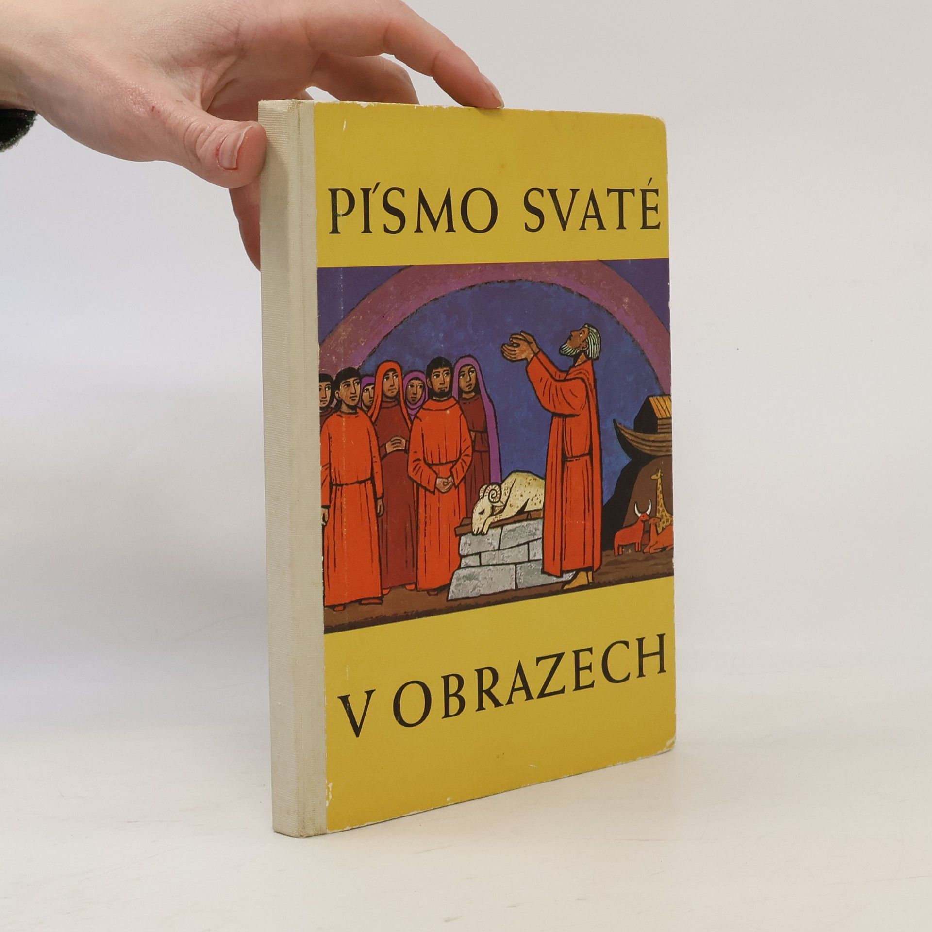 Kolektiv autorů Písmo svaté v obrazech