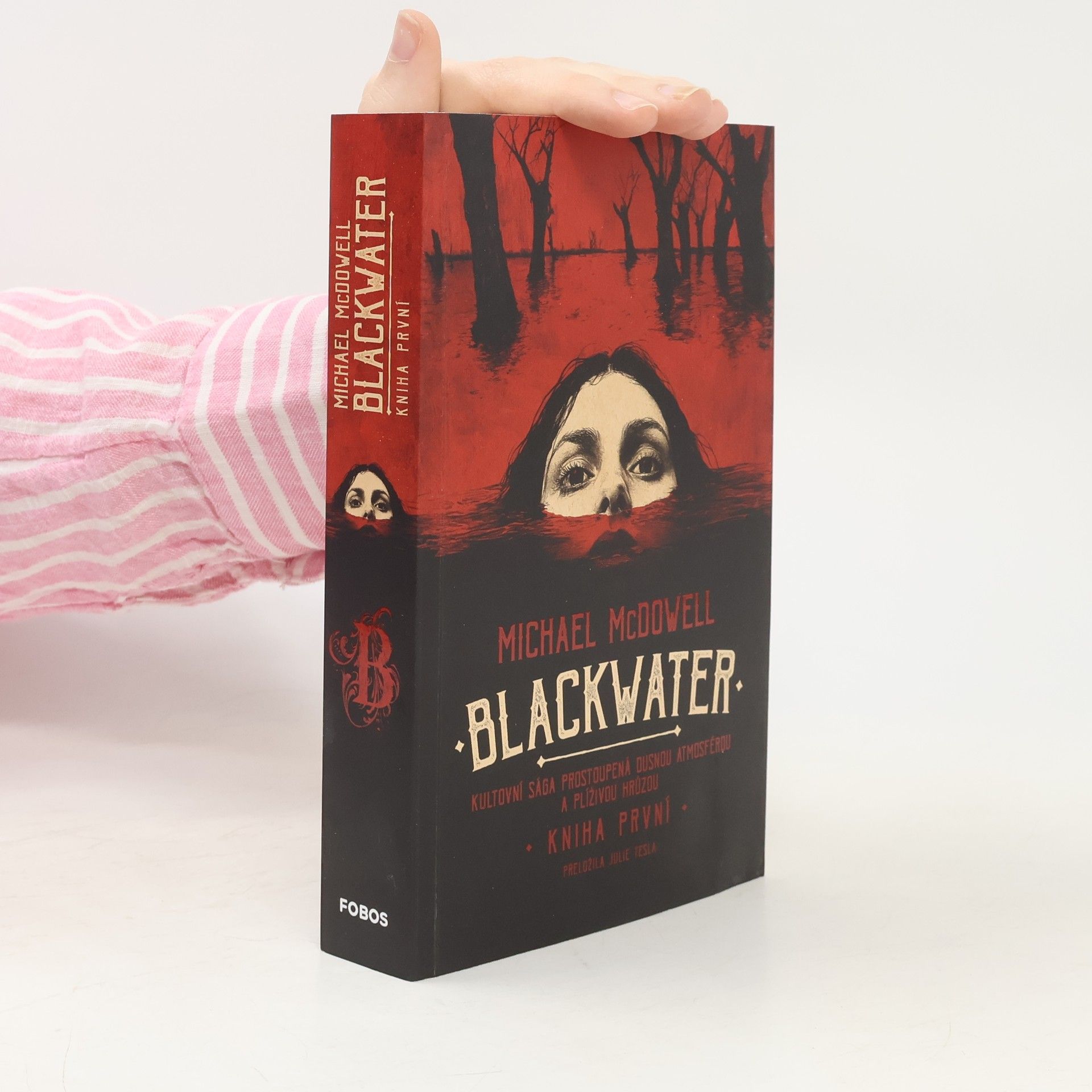 Michael McDowell Blackwater