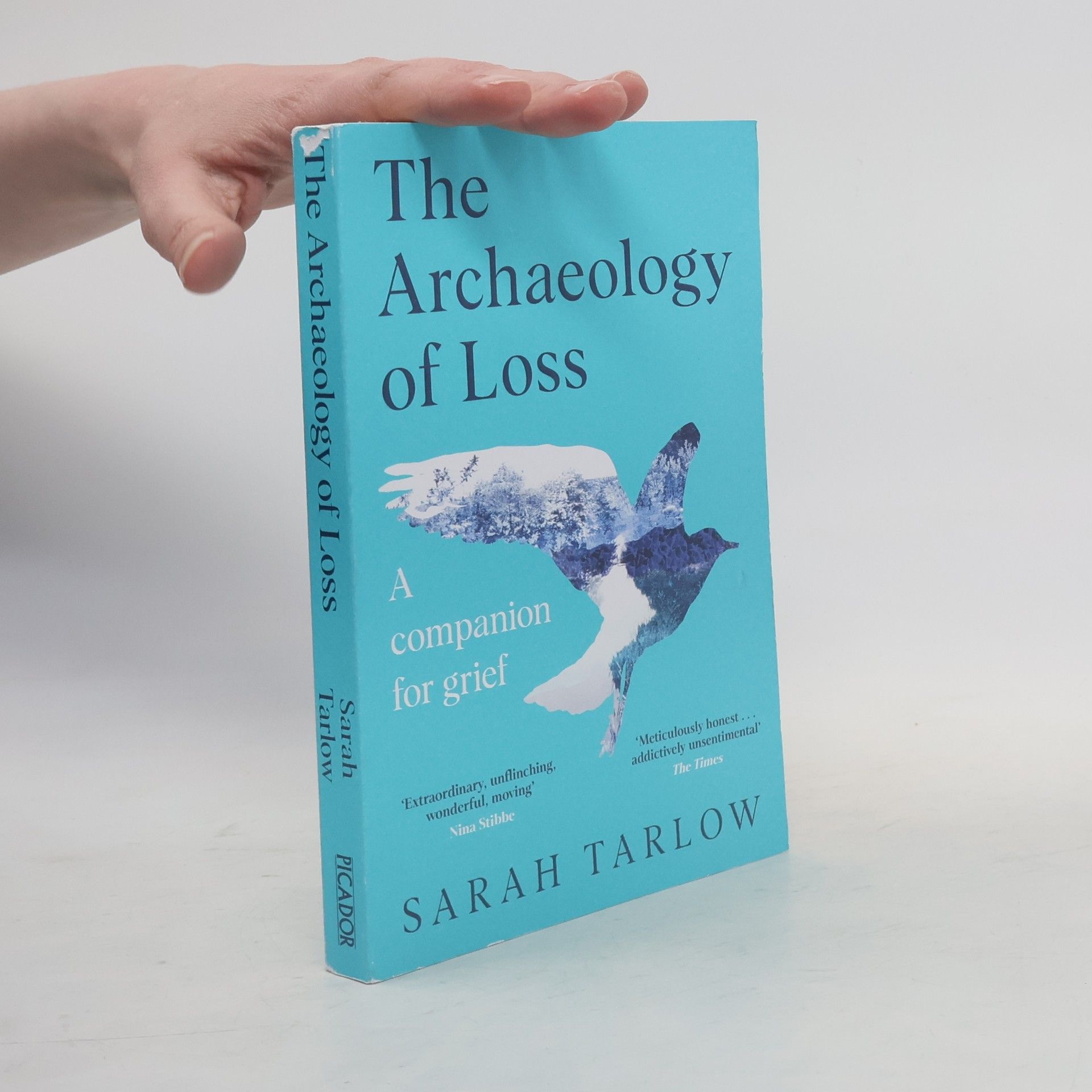 Sarah Tarlow The Archaeology of Loss