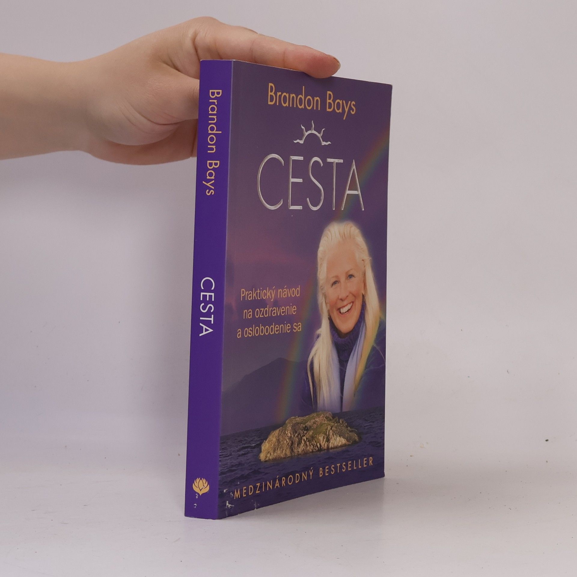 Brandon Bays Cesta