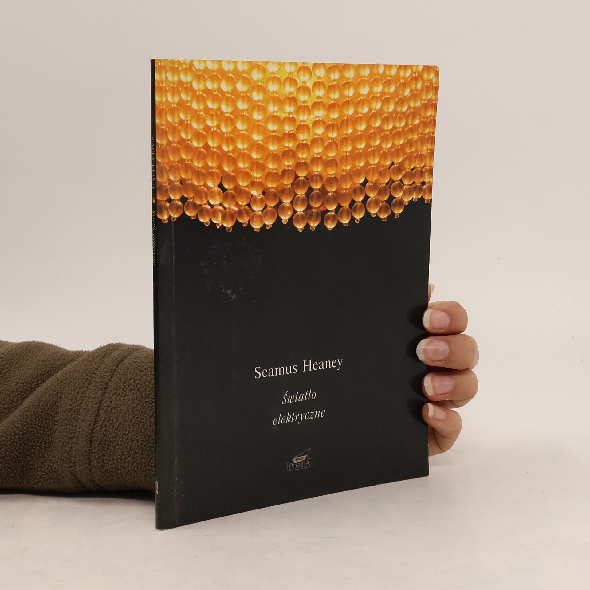 Seamus Heaney Światło elektryczne