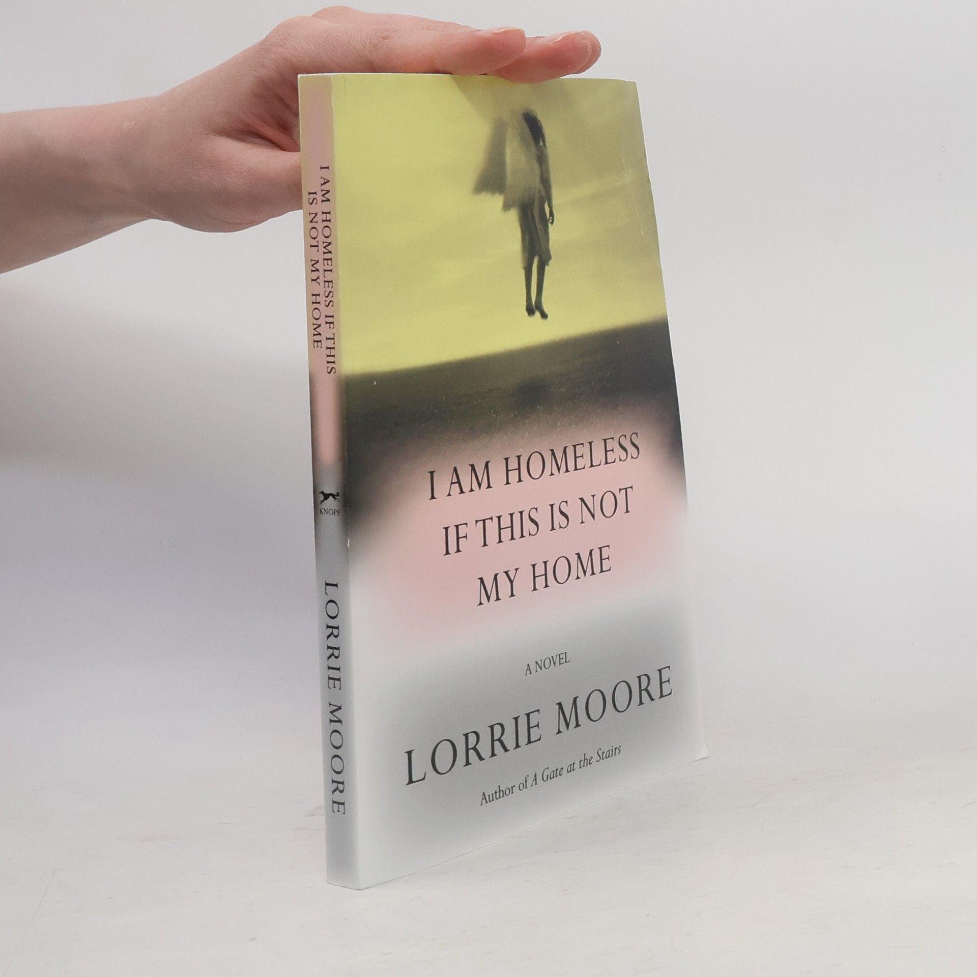 Lorrie Moore I Am Homeless If This Is Not My Home