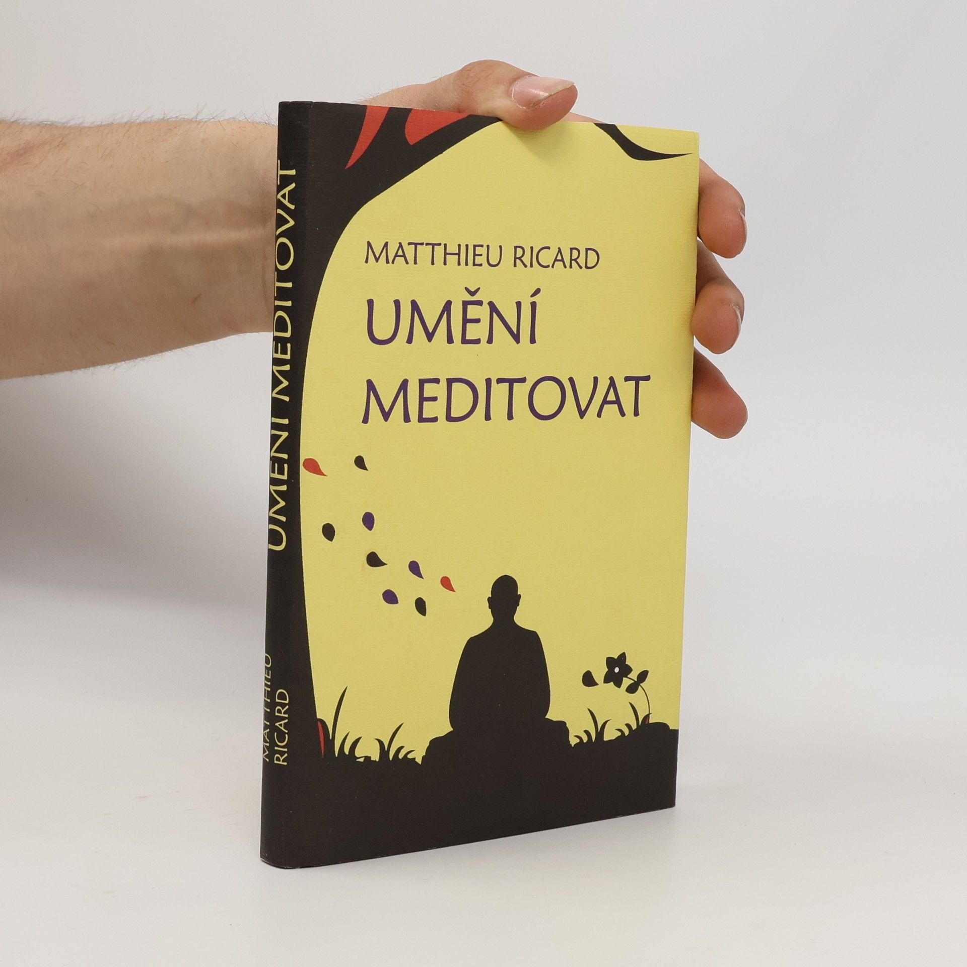 Ricard Matthieu Umění meditovat