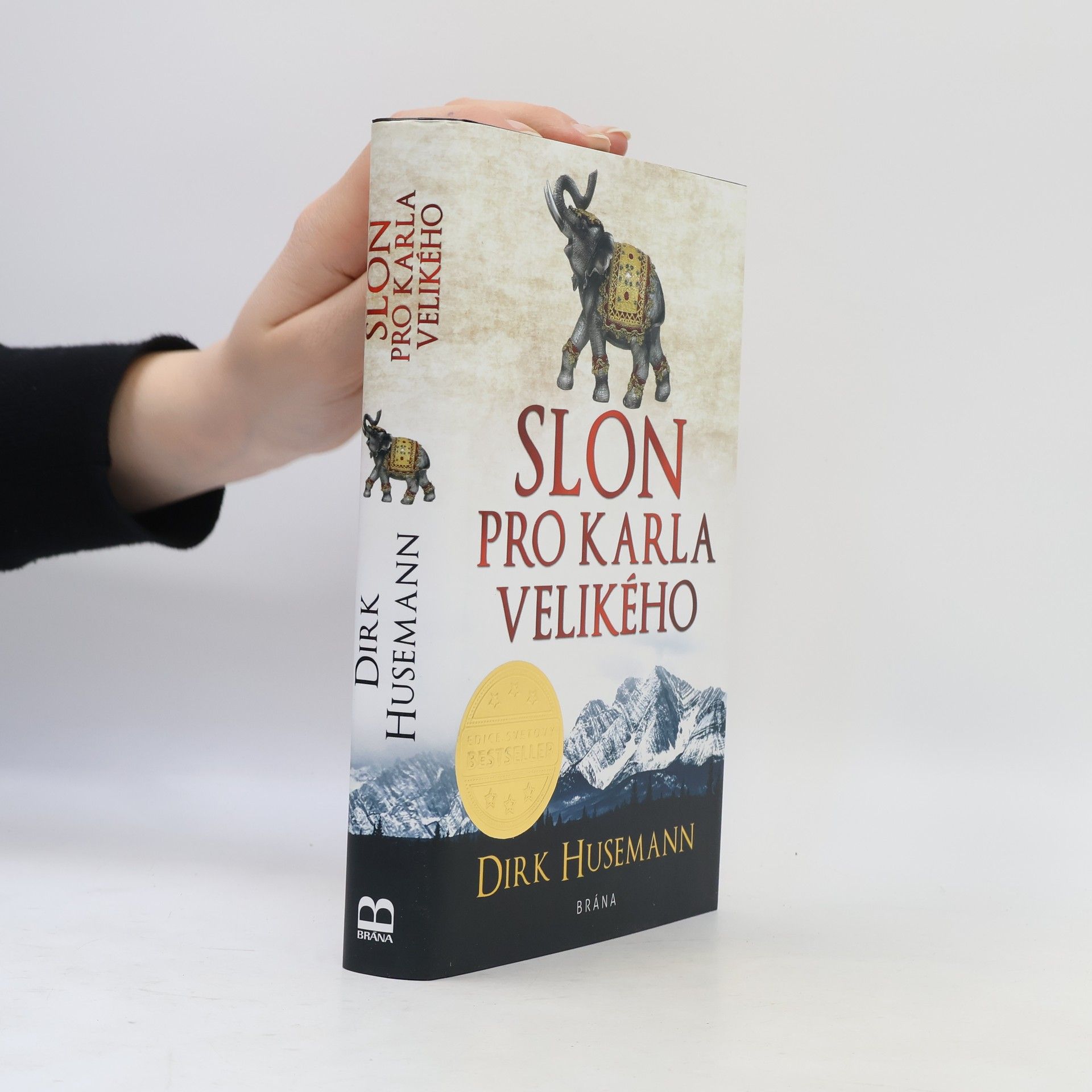 Dirk Husemann Slon pro Karla Velikého
