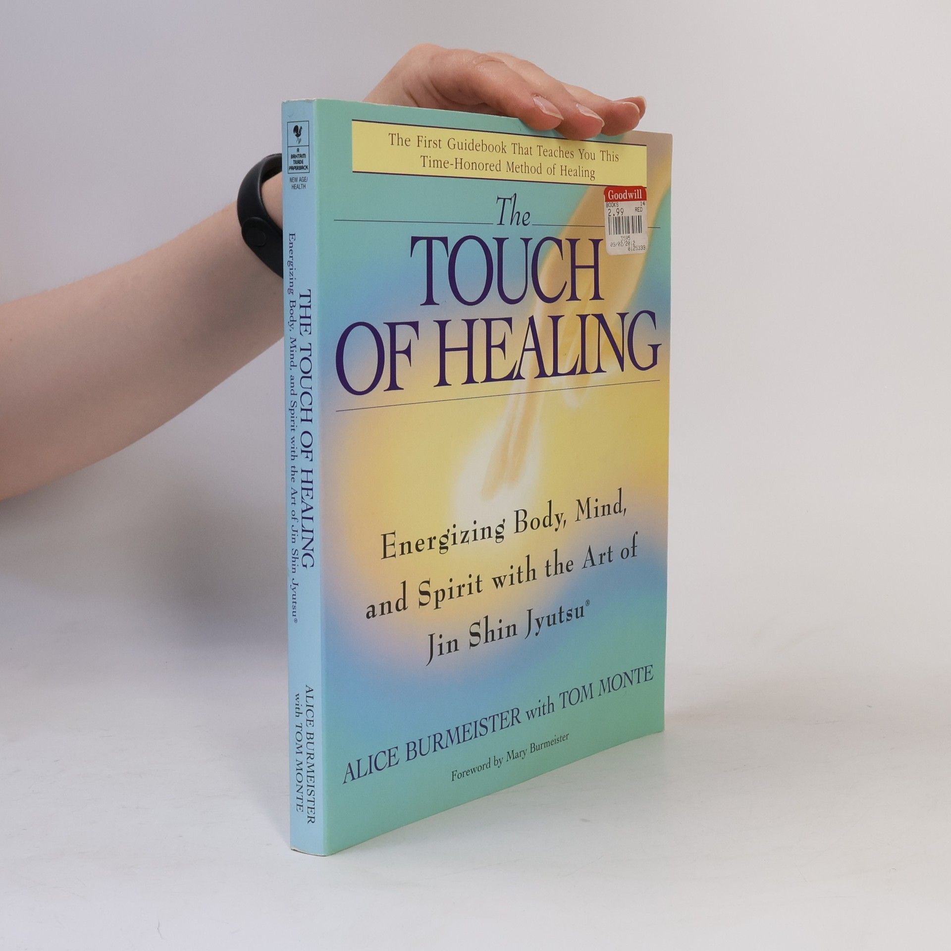 Alice Burmeister The Touch of Healing