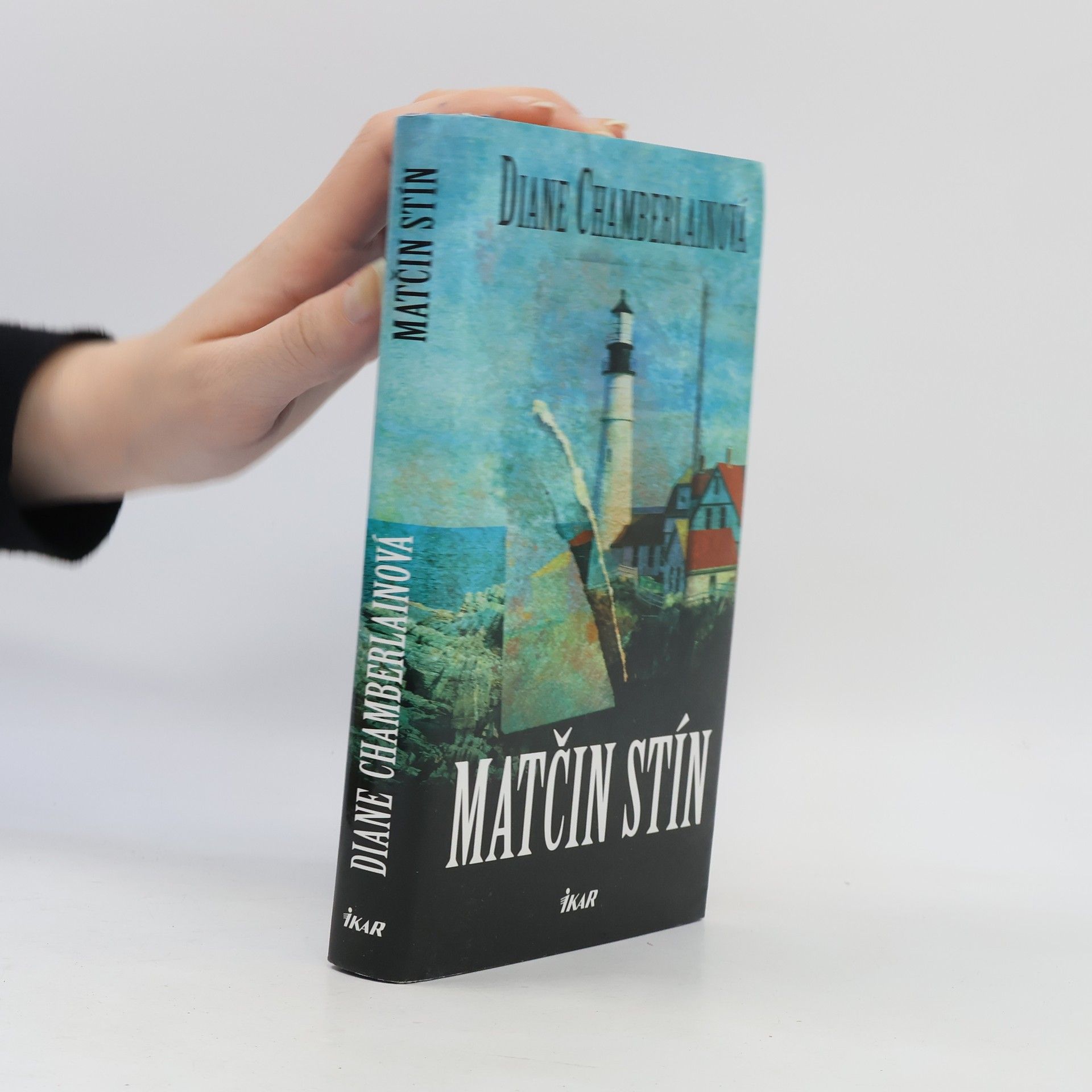 Diane Chamberlain Matčin stín