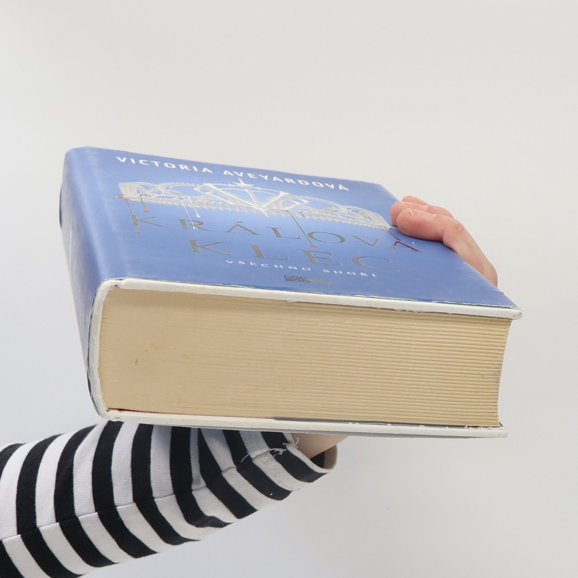 Victoria Aveyard Králova klec