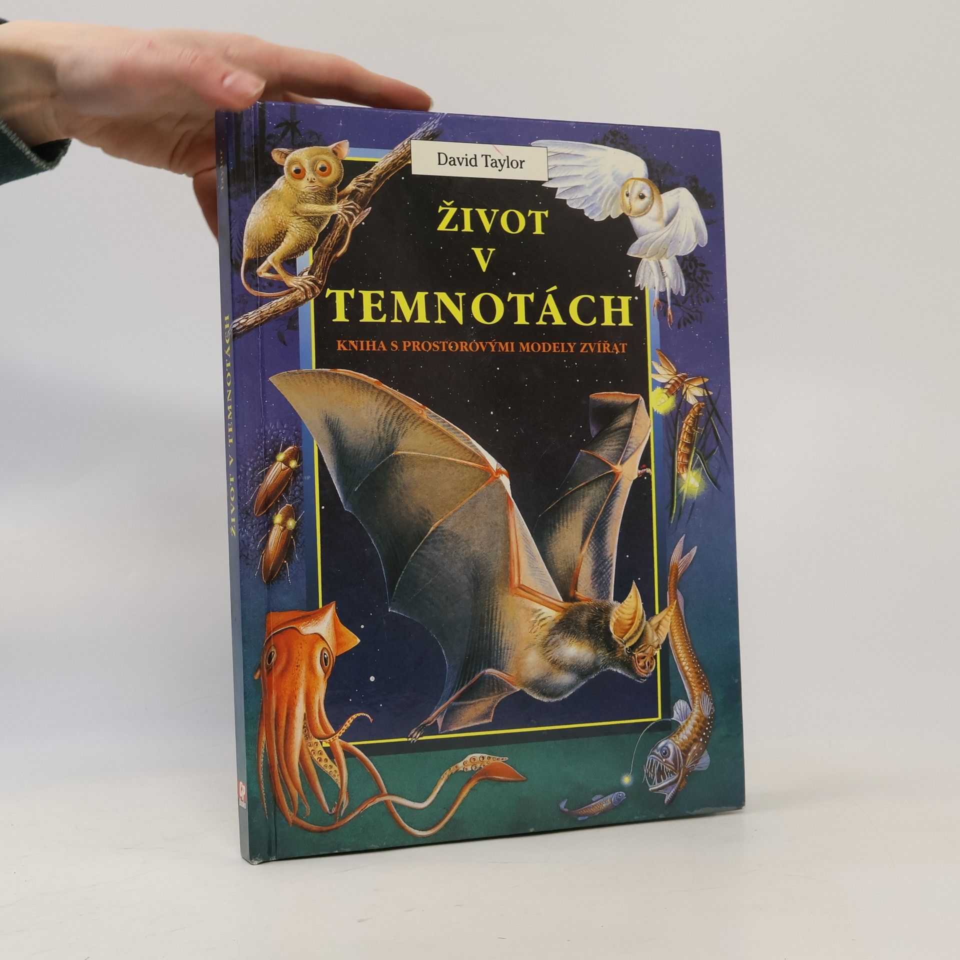 David Taylor Život v temnotách