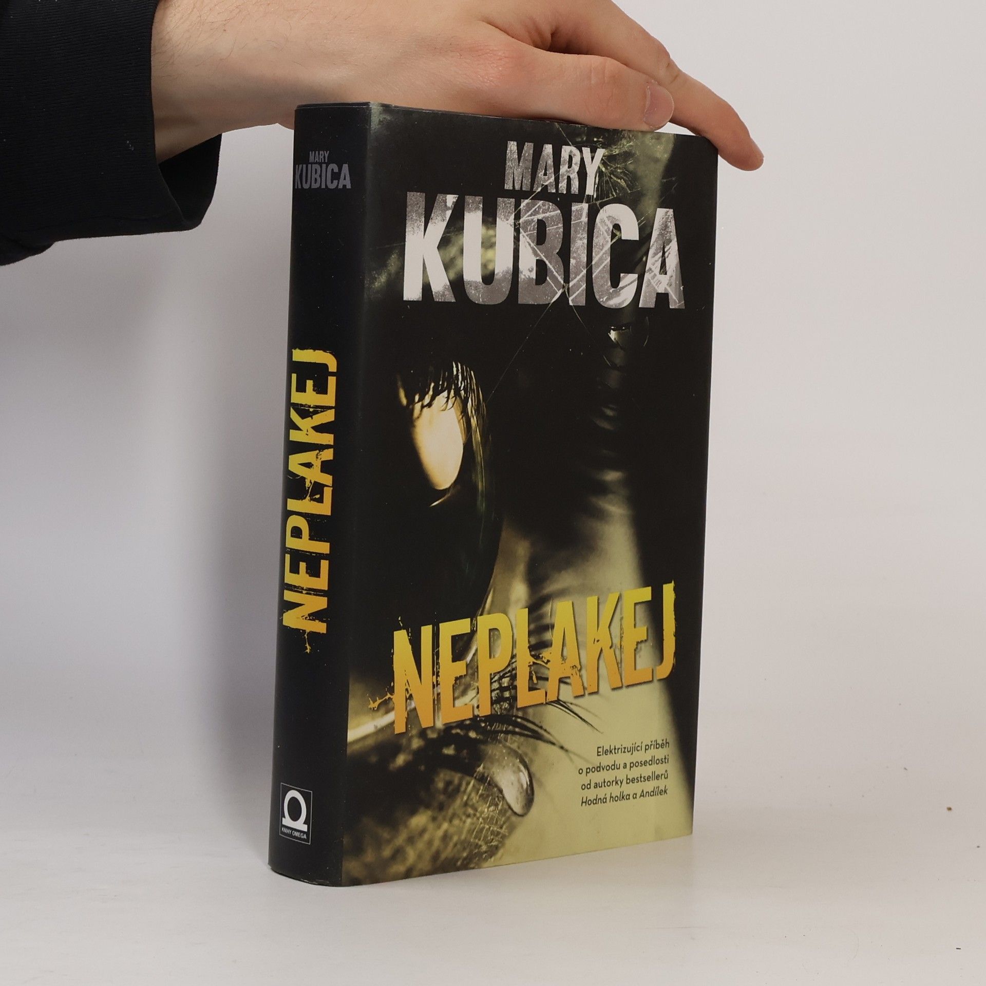 Mary Kubica Neplakej