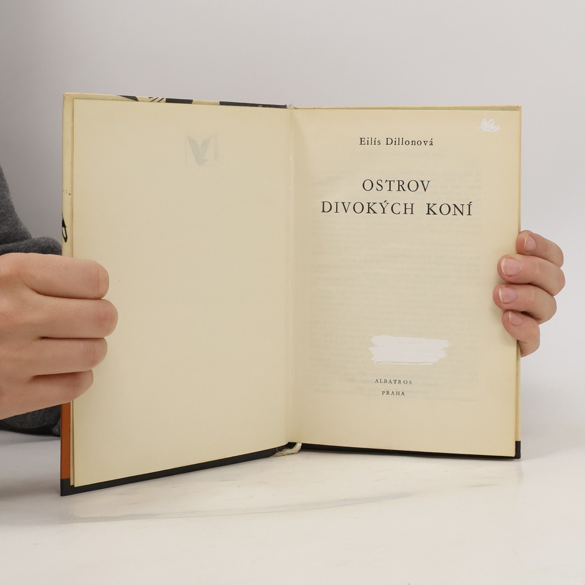 Eili s. Dillon Ostrov divokých koní