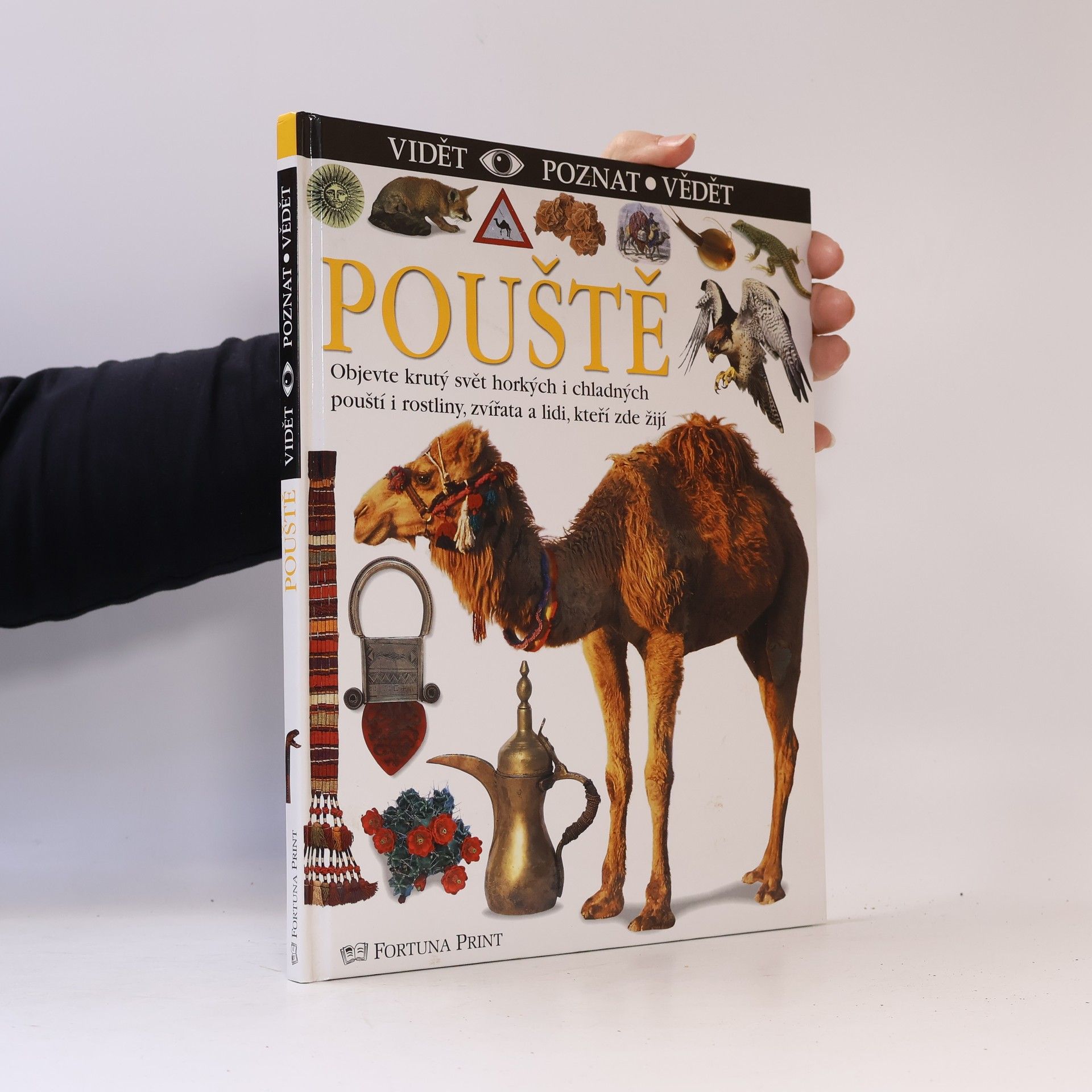 Pouště