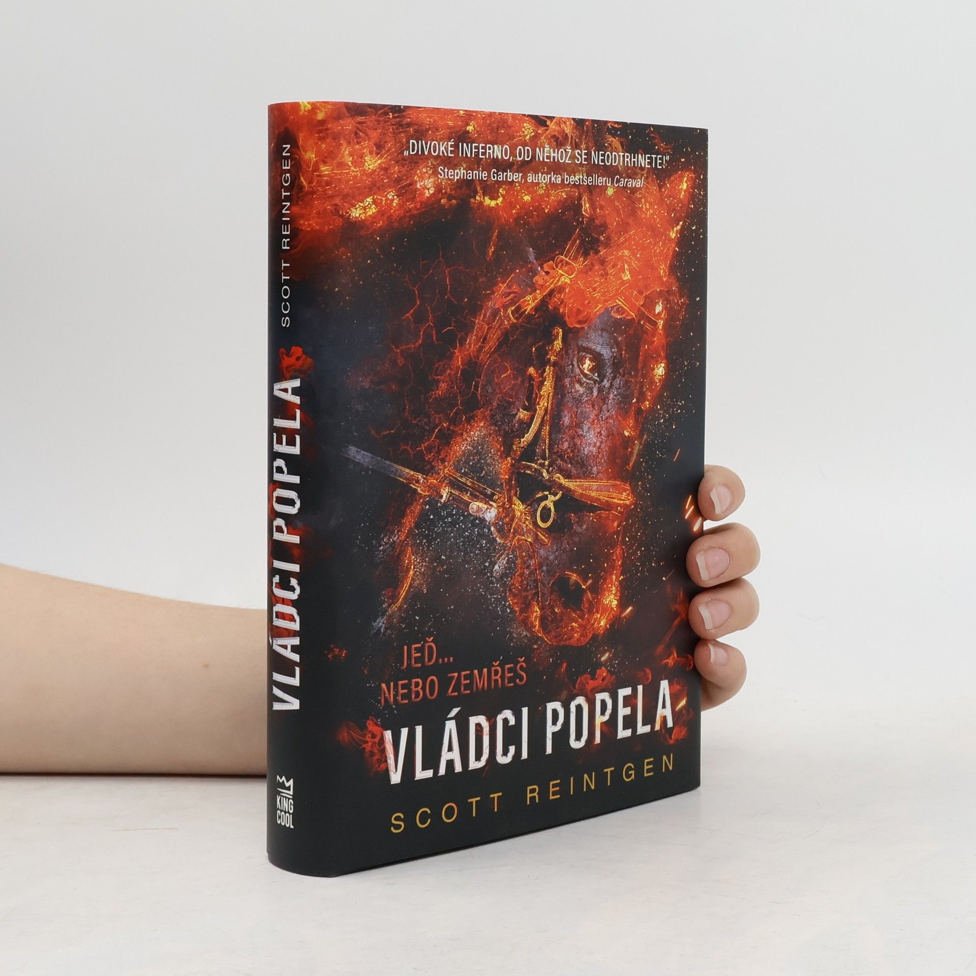 Scott Reintgen Vládci popela