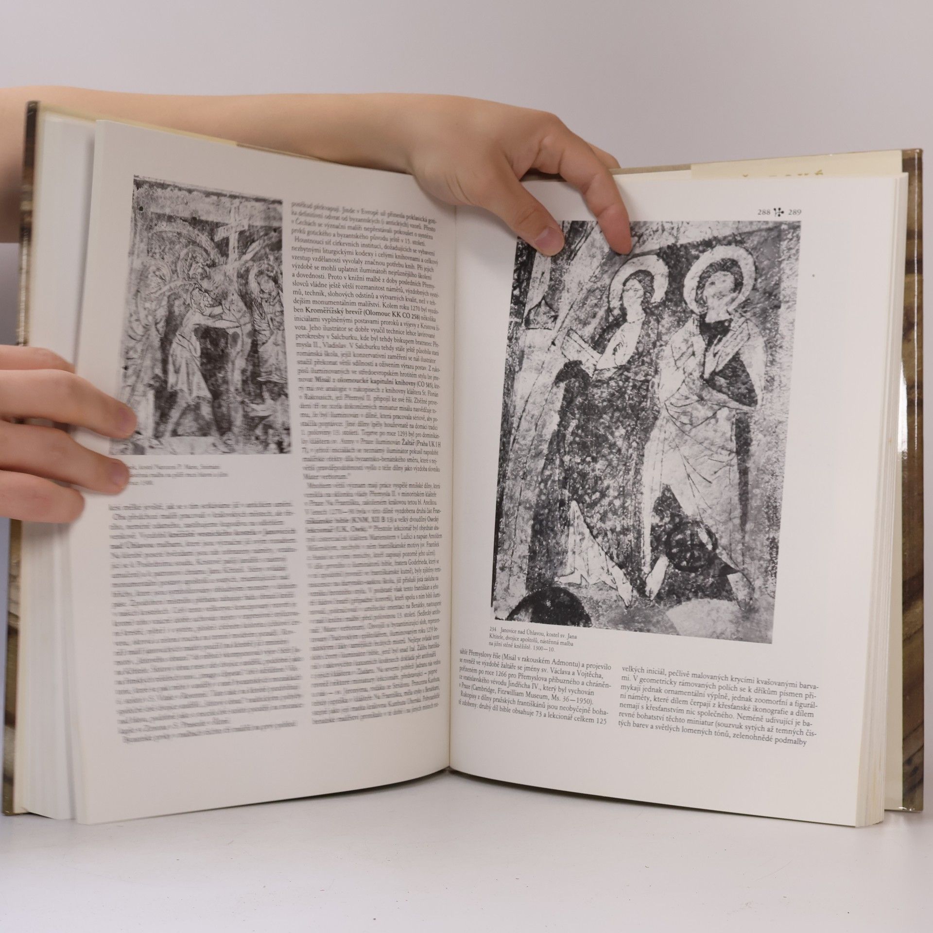 Autorenkollektiv Dějiny českého výtvarného umění I/1