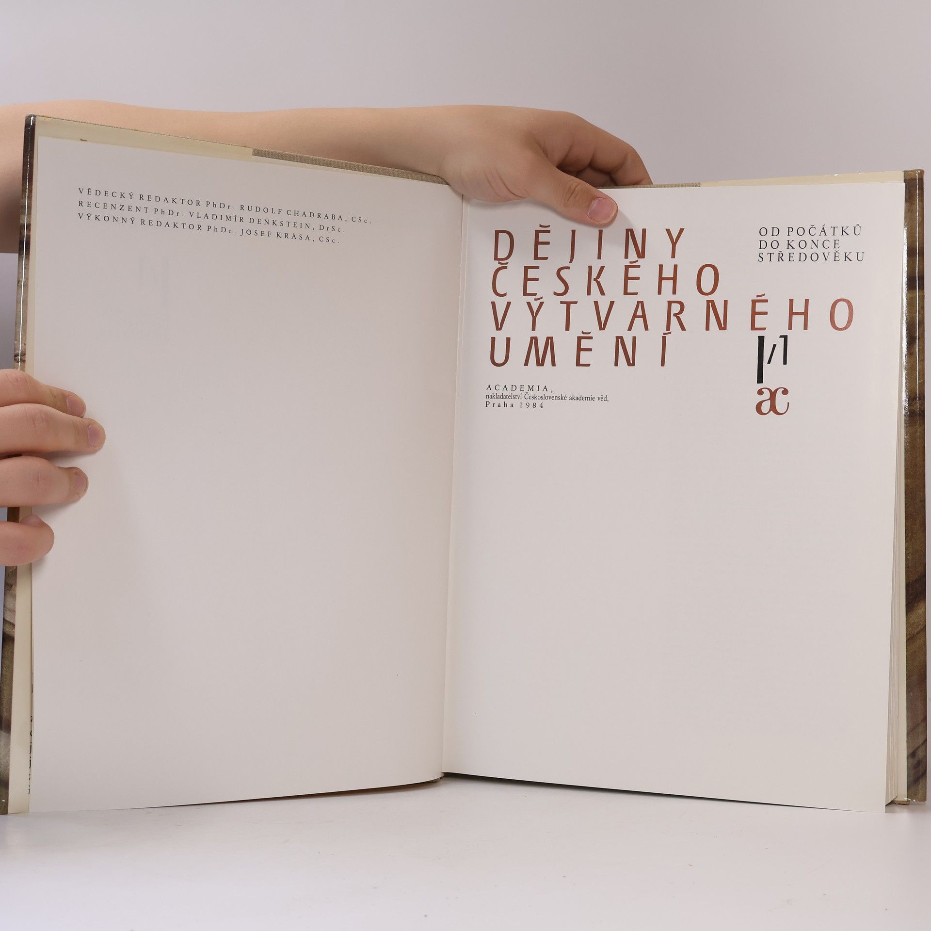 Autorenkollektiv Dějiny českého výtvarného umění I/1