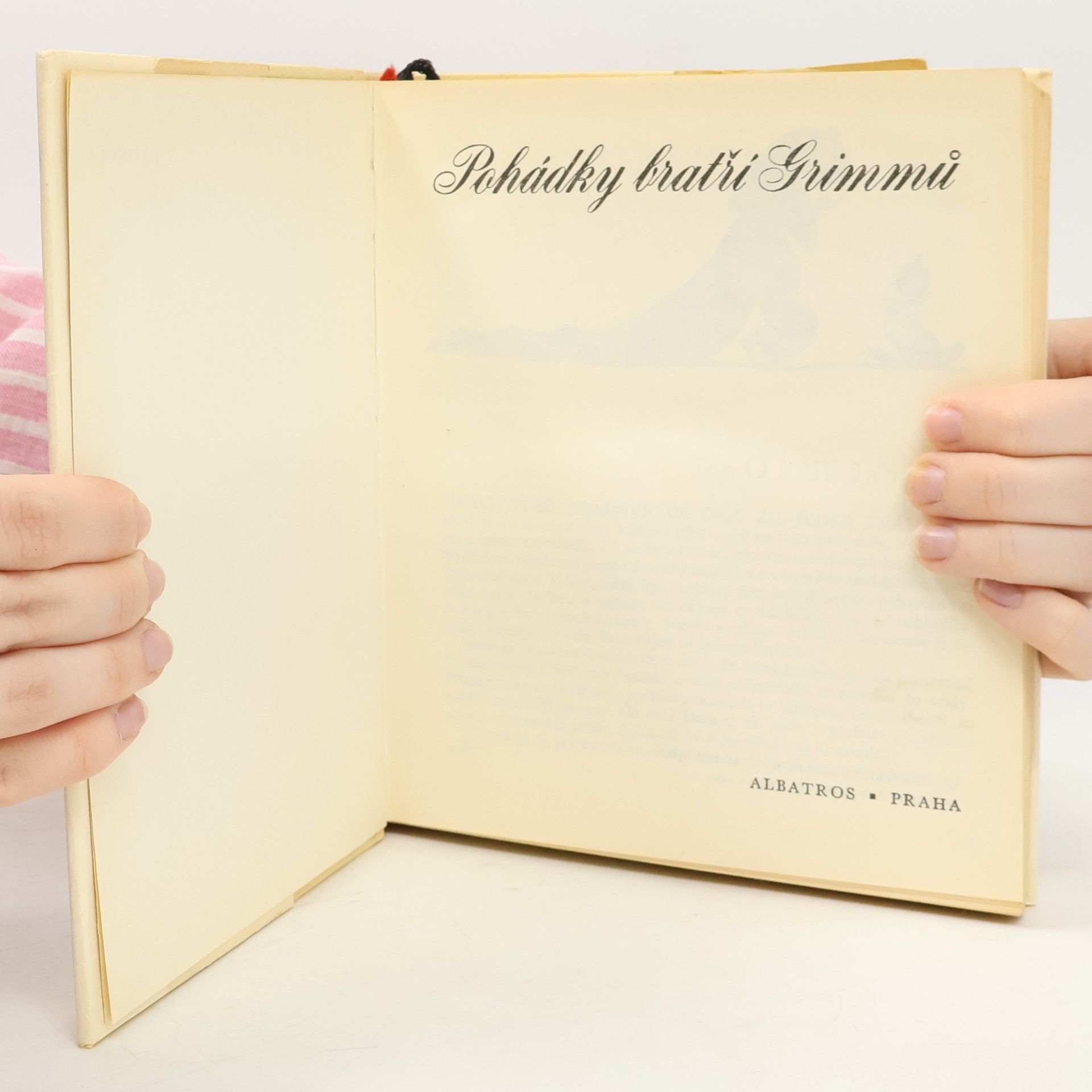 Jacob Ludwig Karl Grimm Pohádky bratří Grimmů