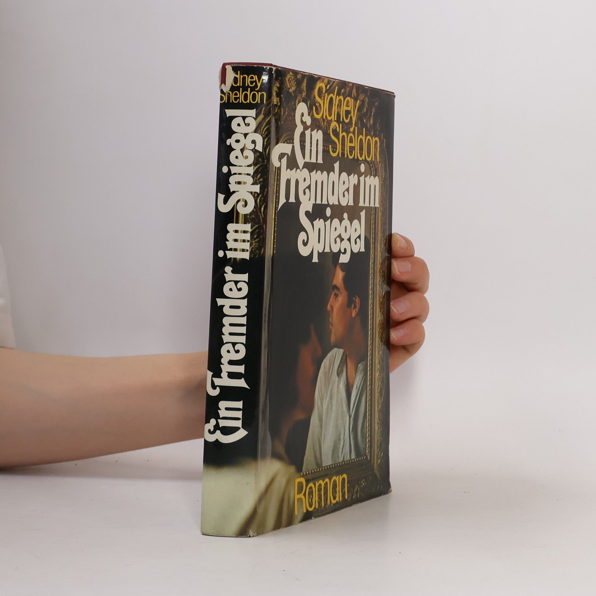 Sidney Sheldon Ein Fremder im Spiegel