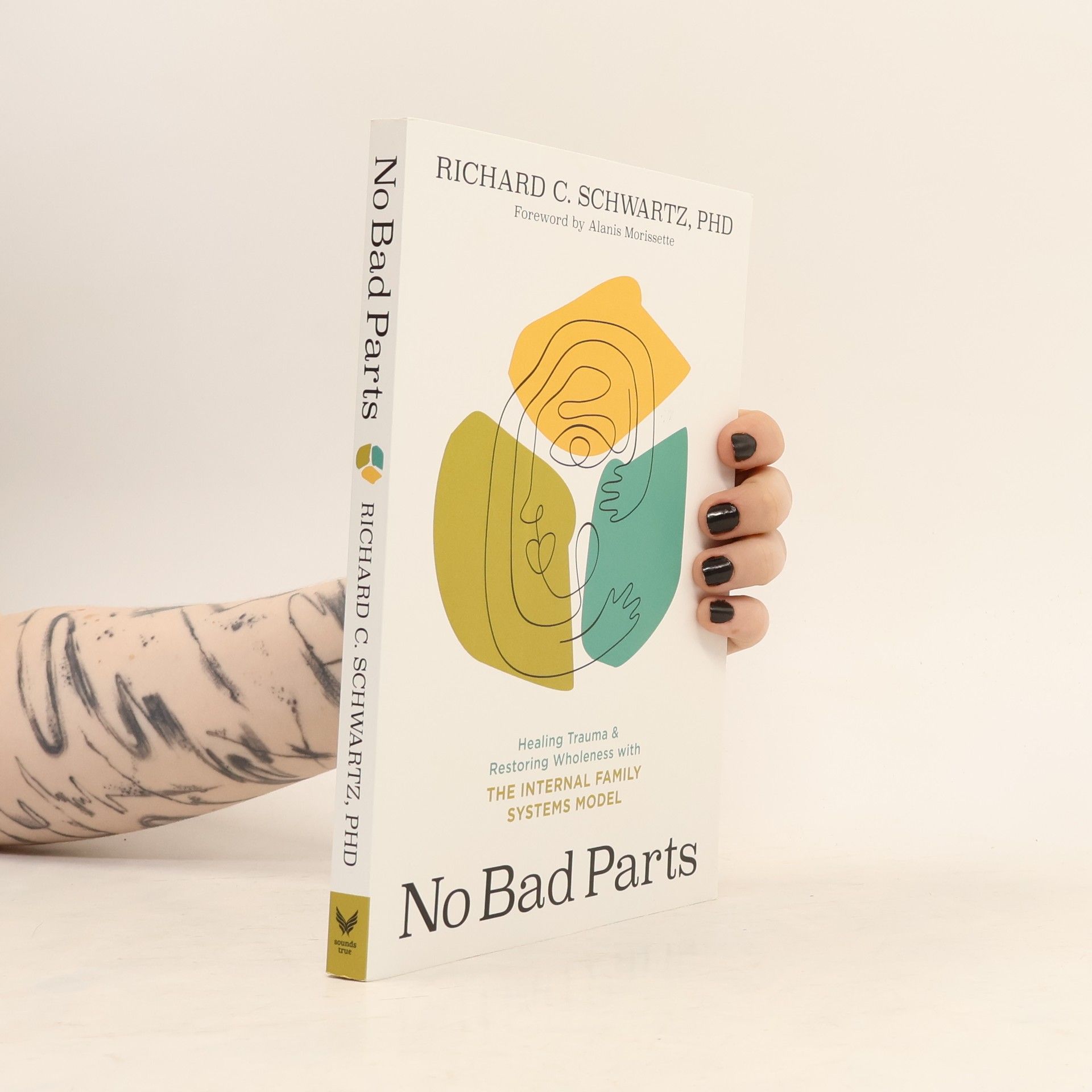 Richard Schwartz No Bad Parts