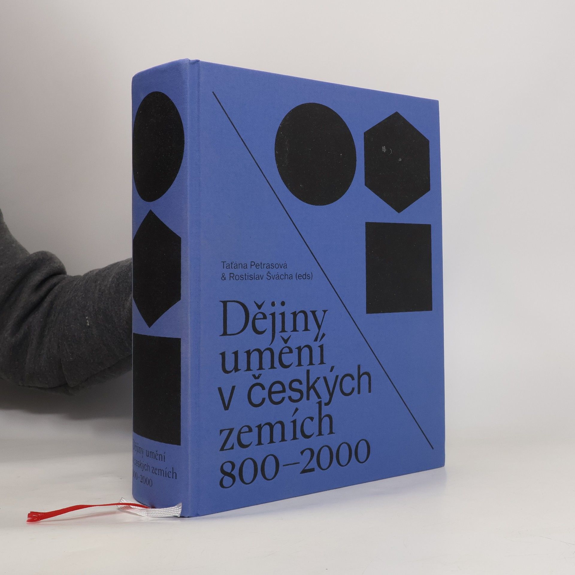 Lenka Panušková Dějiny umění v českých zemích 800-2000