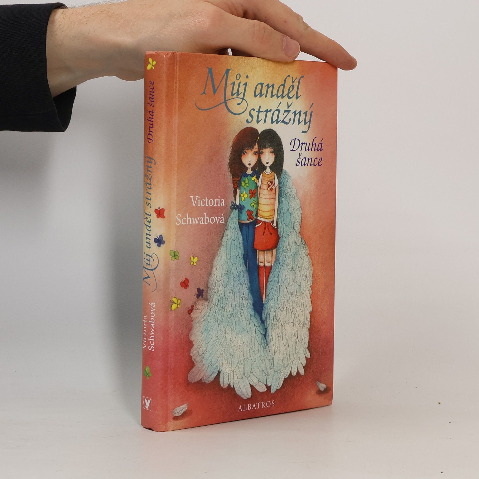 Můj anděl strážný : druhá šance