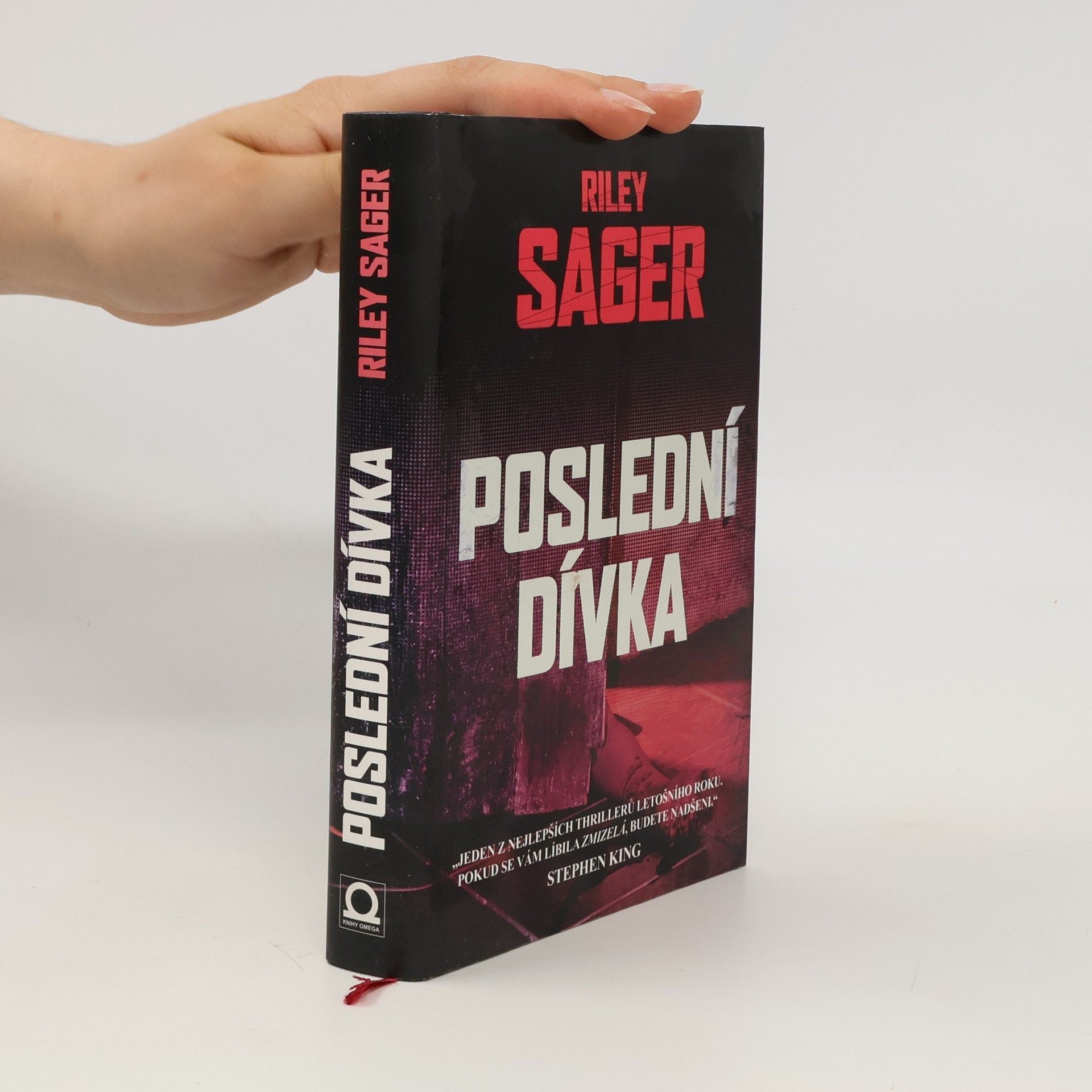 Todd Ritter Poslední dívka