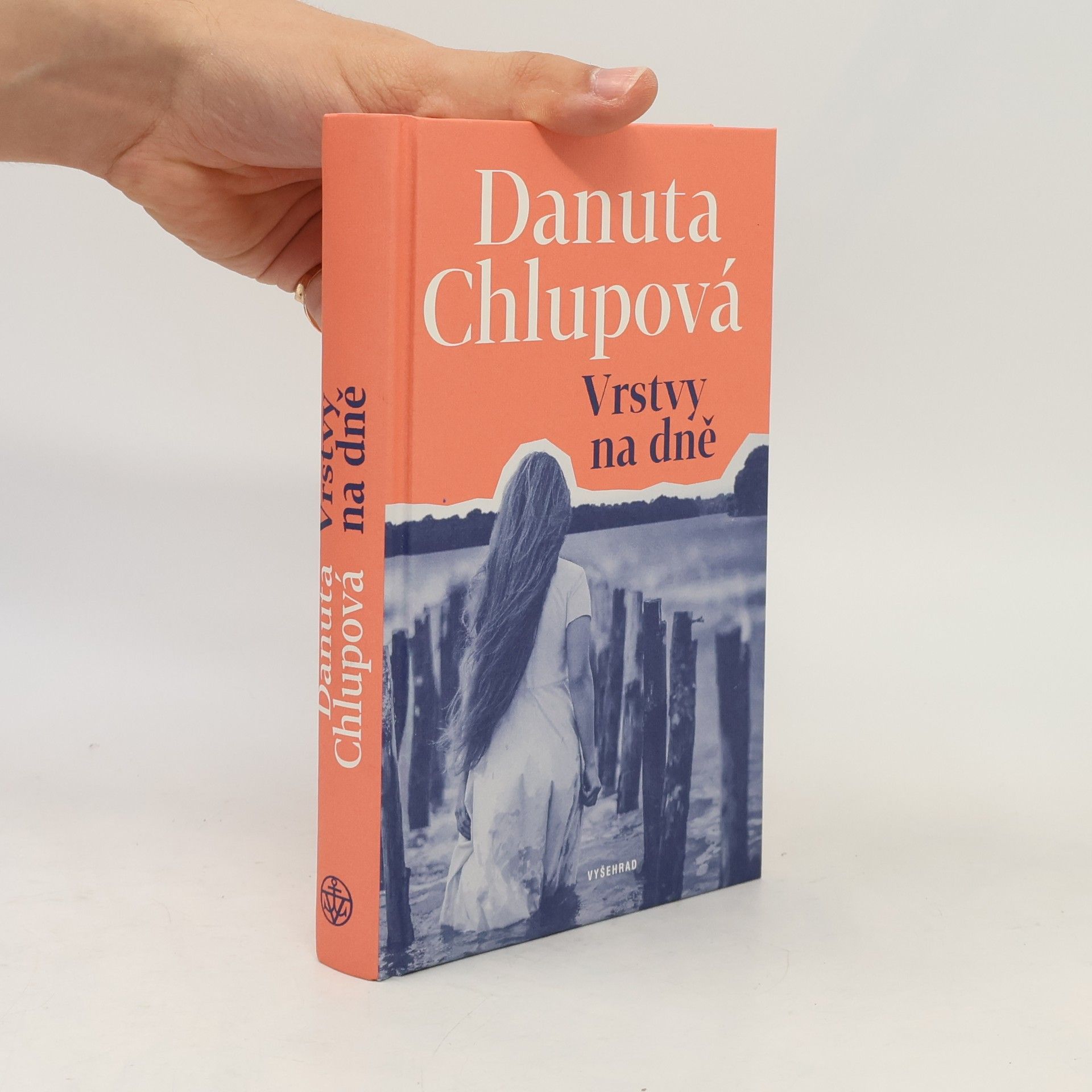 Danuta Chlupowa Vrstvy na dně