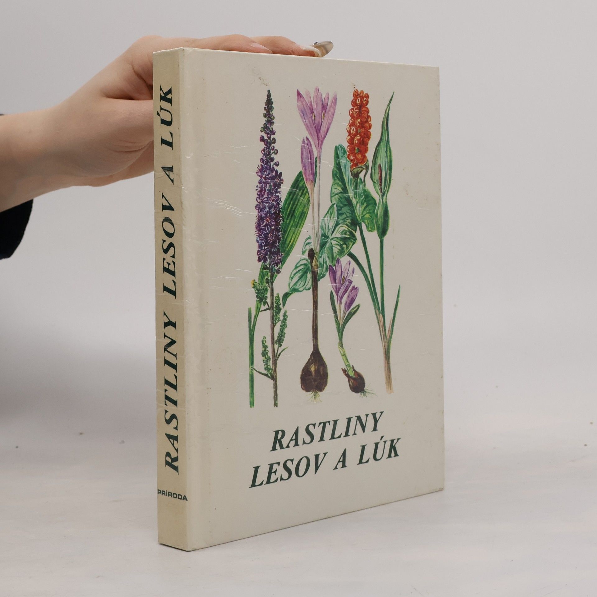 Various authors Rastliny lesov a lúk