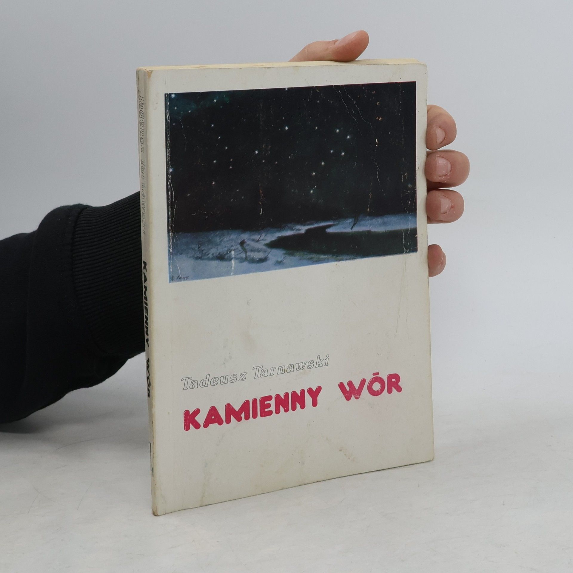 Tadeusz Tarnawski Kamienny wór