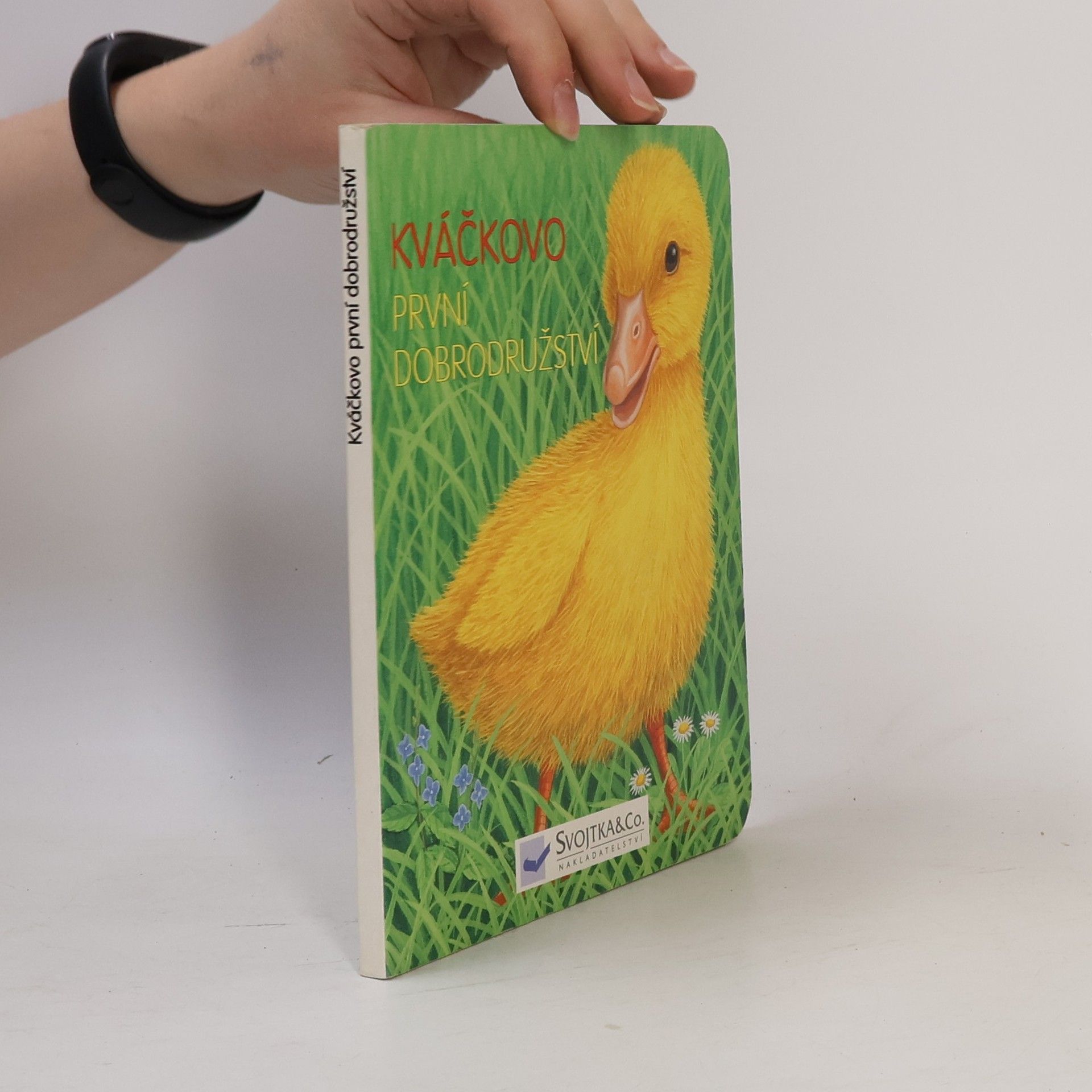Autorenkollektiv Kváčkovo první dobrodružství