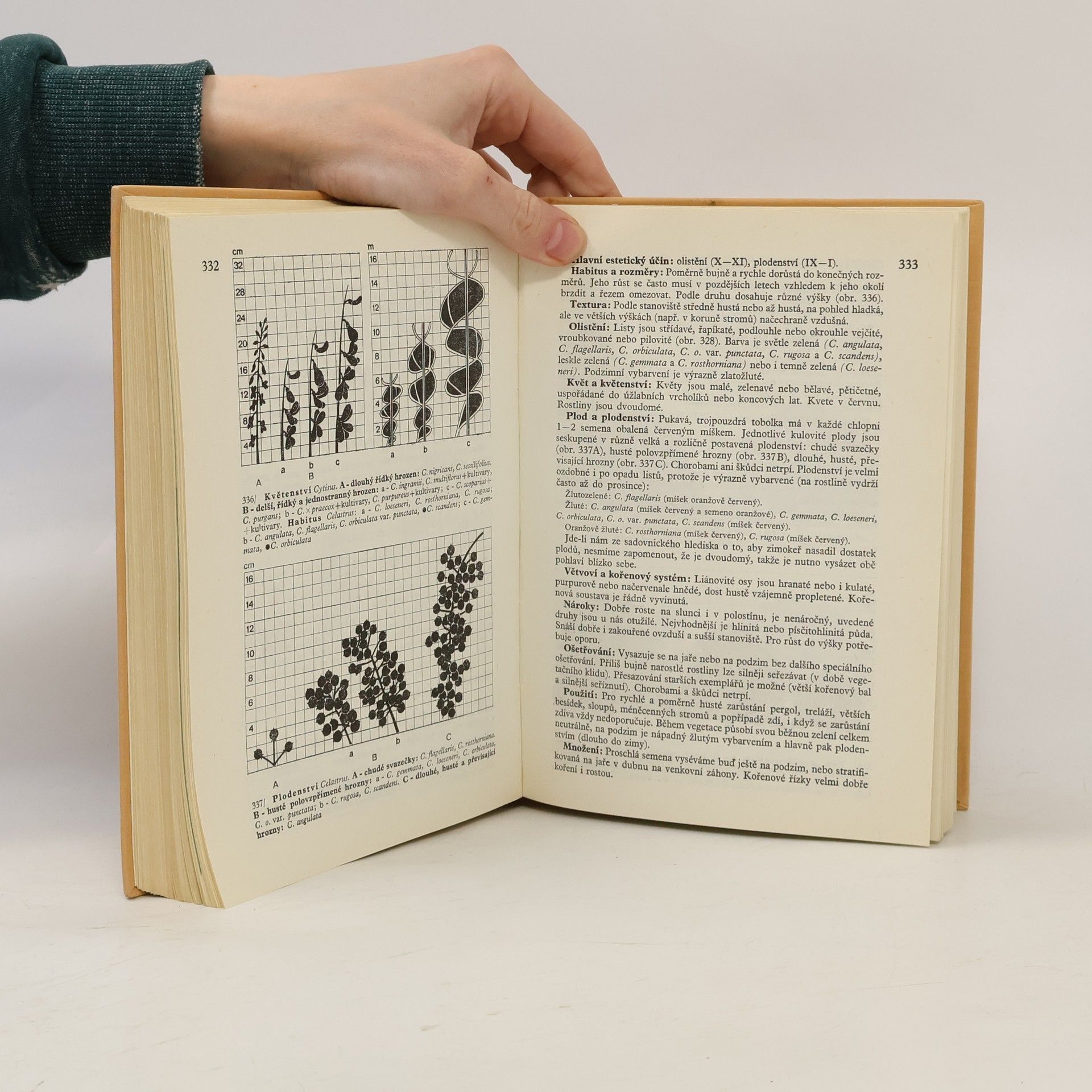 Karel Hieke Praktická dendrologie 1