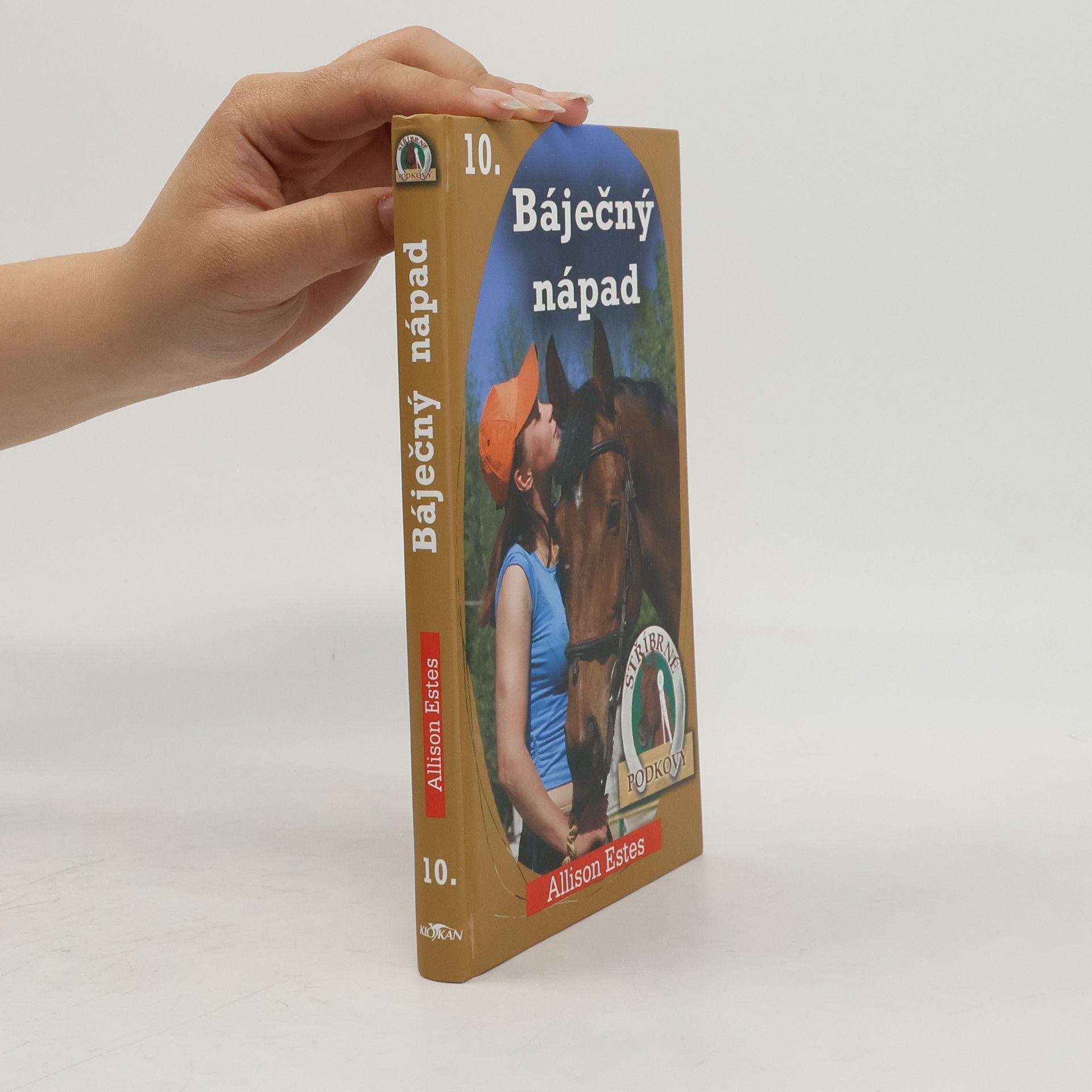 Allison Estes Stříbrné podkovy 10. Báječný nápad
