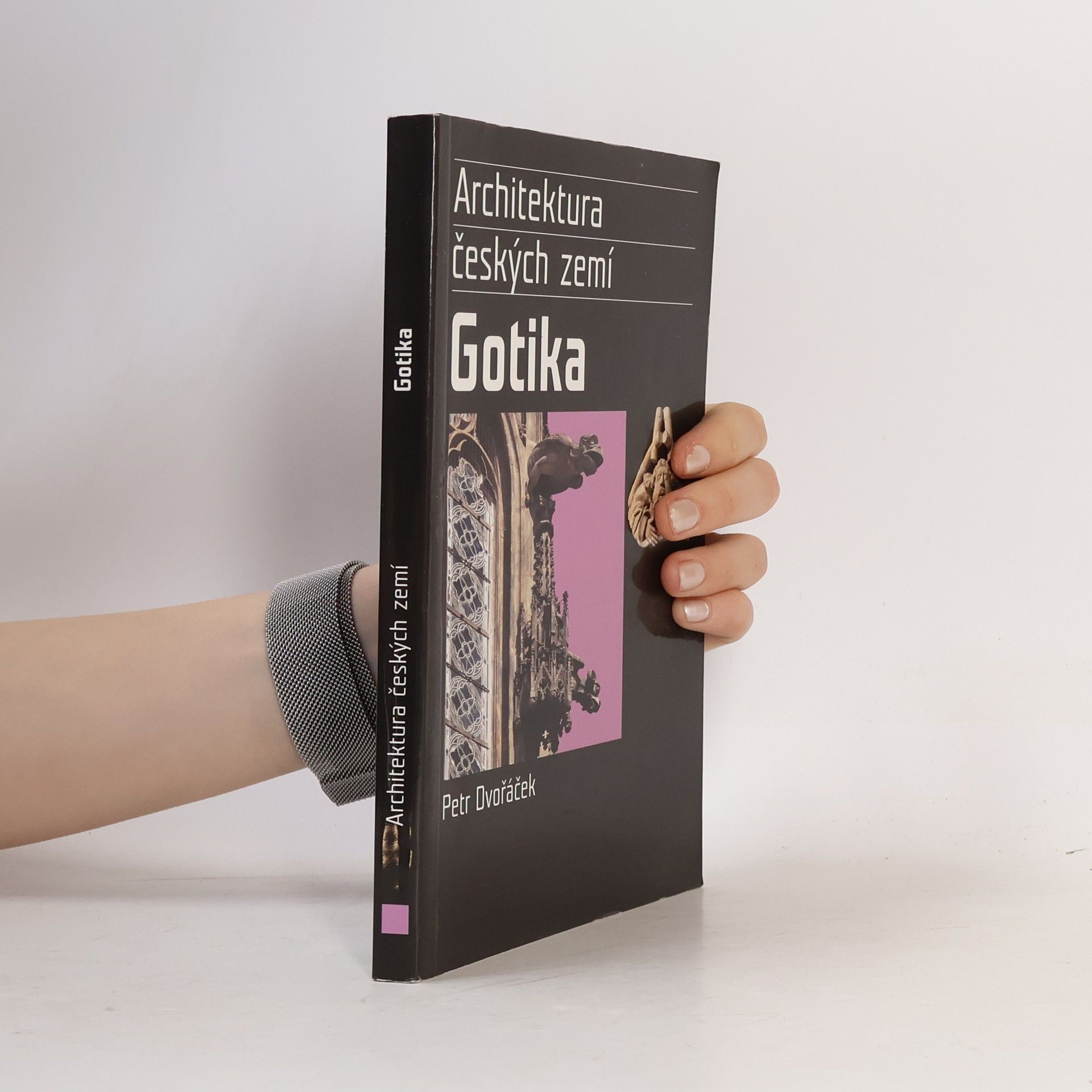 Petr Dvořáček Gotika. Architektura českých zemí