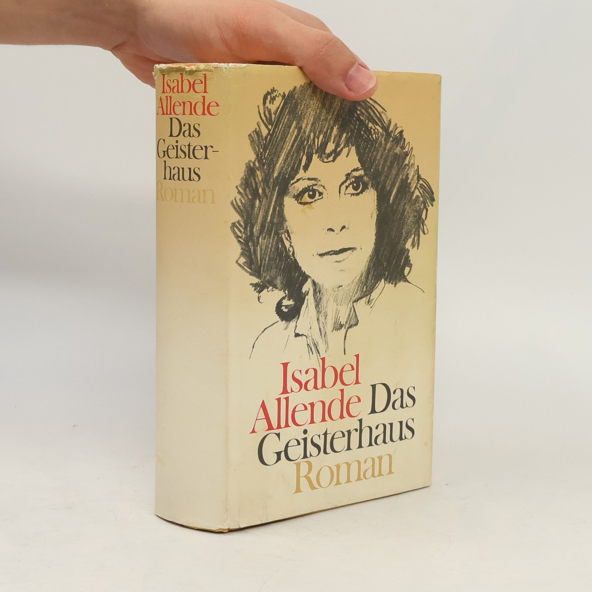 Isabel Allende Llona Das Geisterhaus