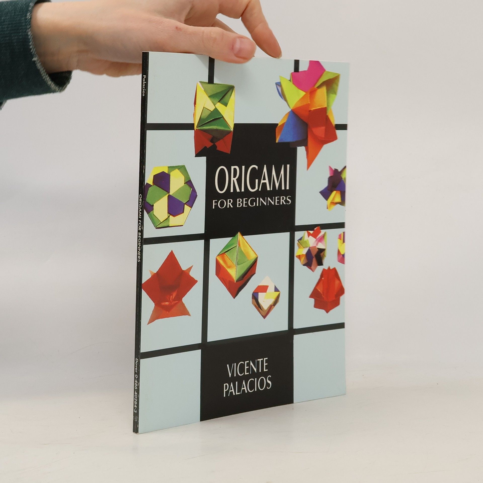 Vincente Palacios Origami for Beginners