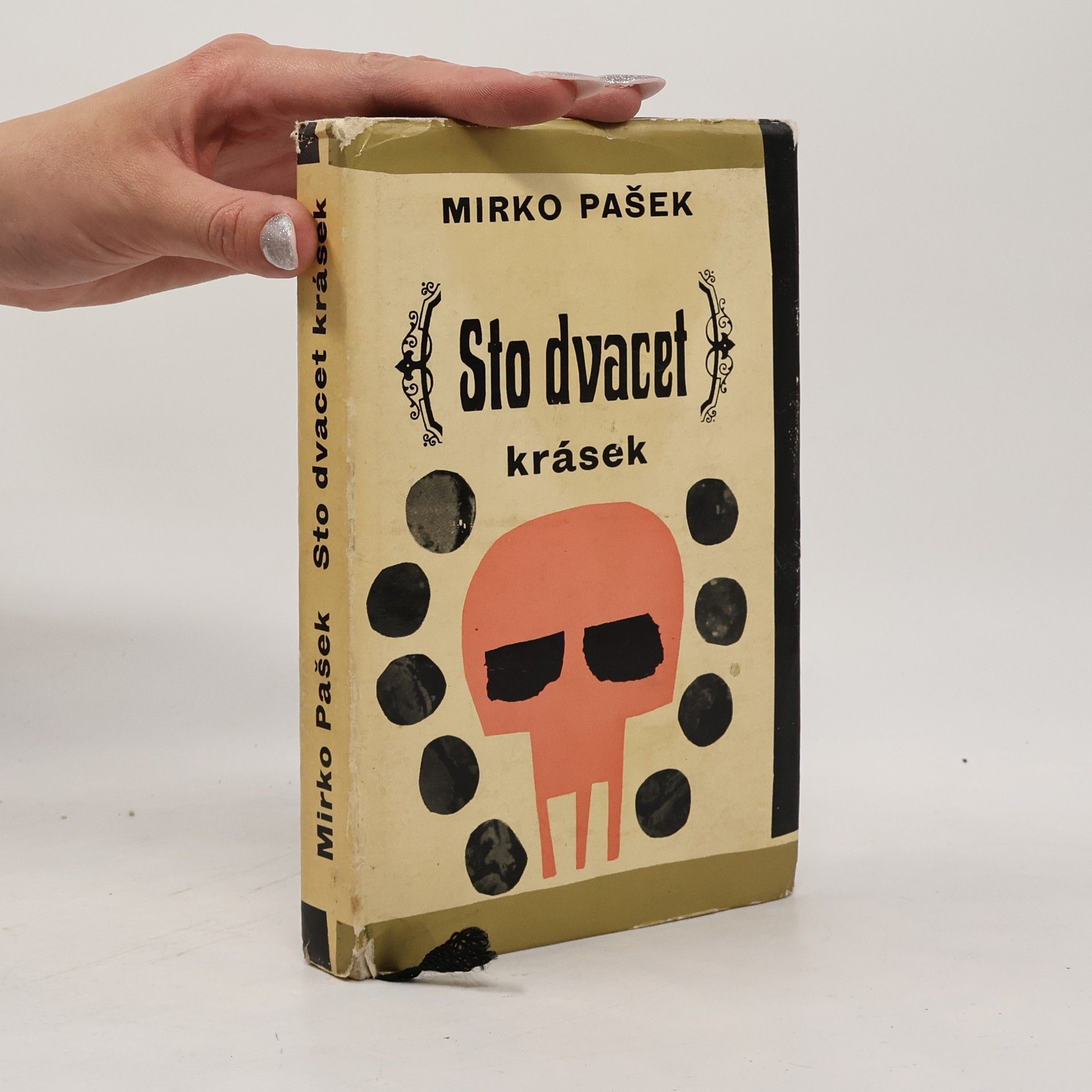 Mirko Pasek Sto dvacet krásek