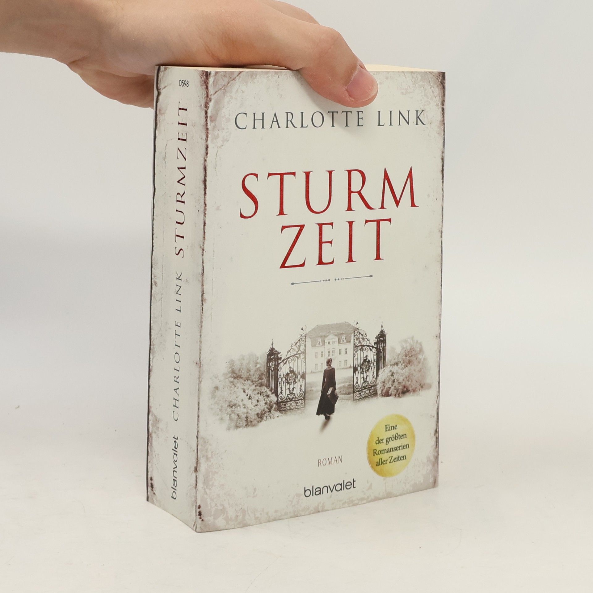Charlotte Link Sturmzeit